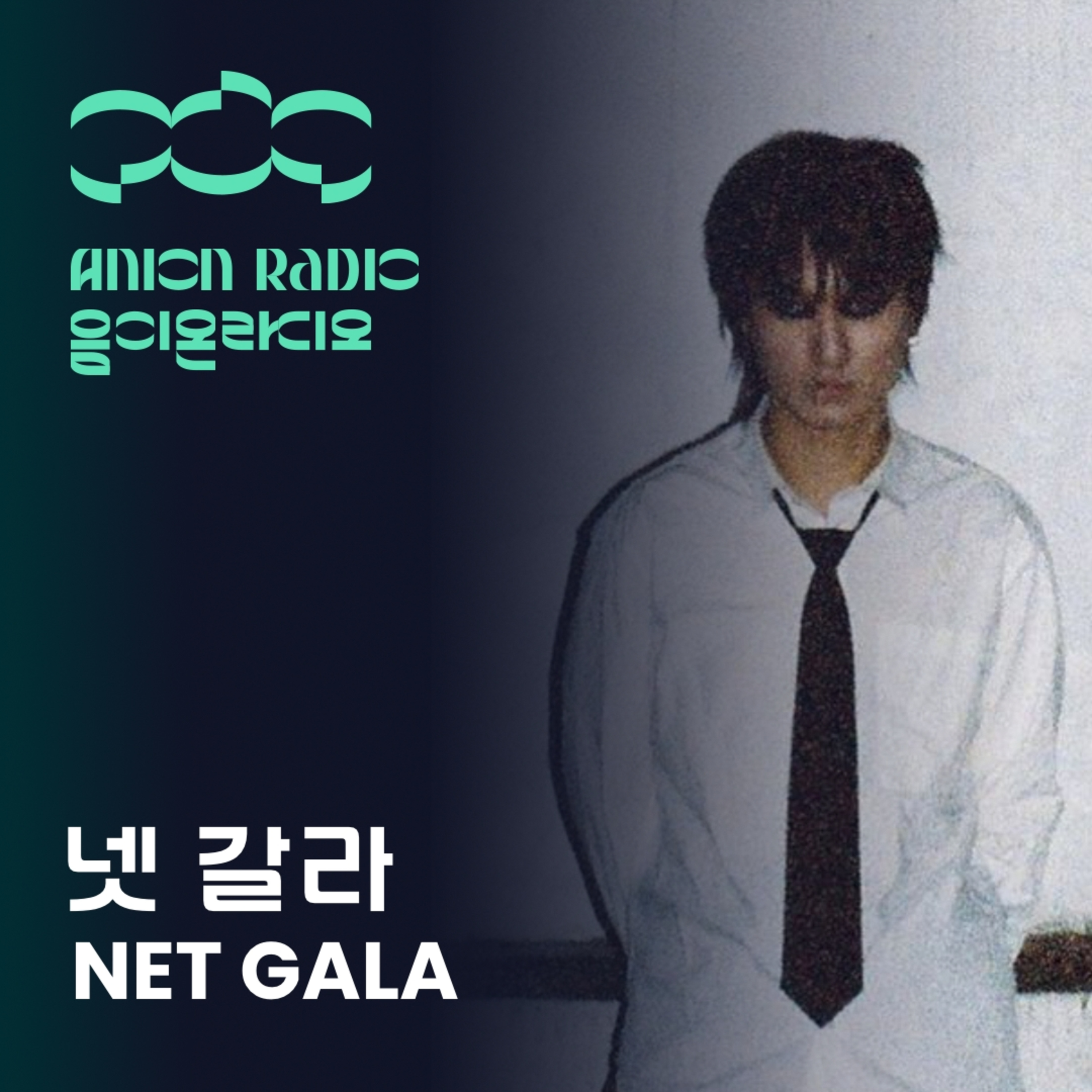 넷 갈라에게 갈라파고스란 | 음이온 라디오 x 암페어 EP18 (호스트:하박국) For NET GALA, the GALAPAGGOT is? | Anion Radio x Amfair EP18 (Host:HAVAQQUQ) episode artwork