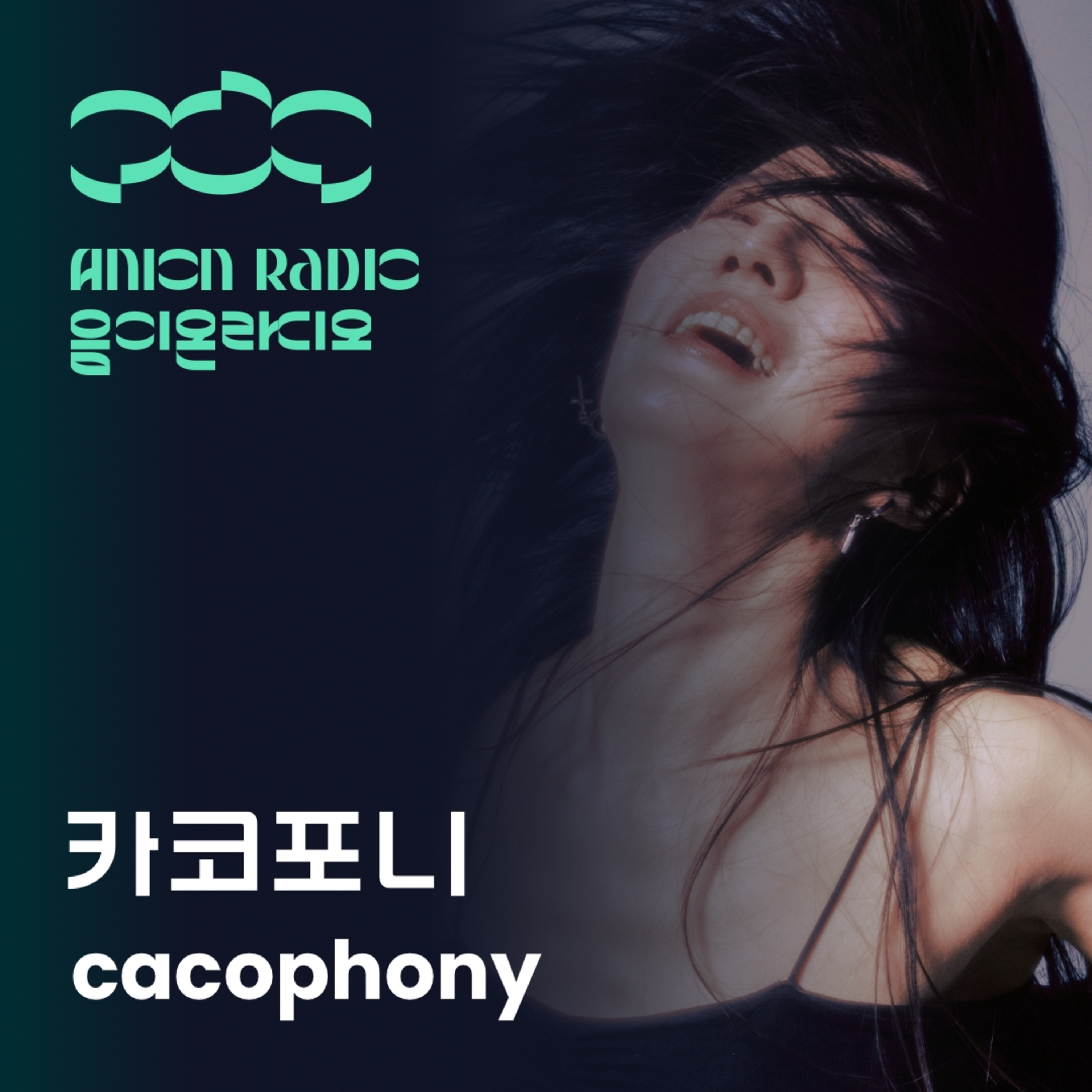 카코포니에게 '관능'이란? | 음이온 라디오 EP20 (호스트:하박국) What does 'sensuality' mean to cacophony? | Anion Radio EP20 (Host:HAVAQQUQ) episode artwork