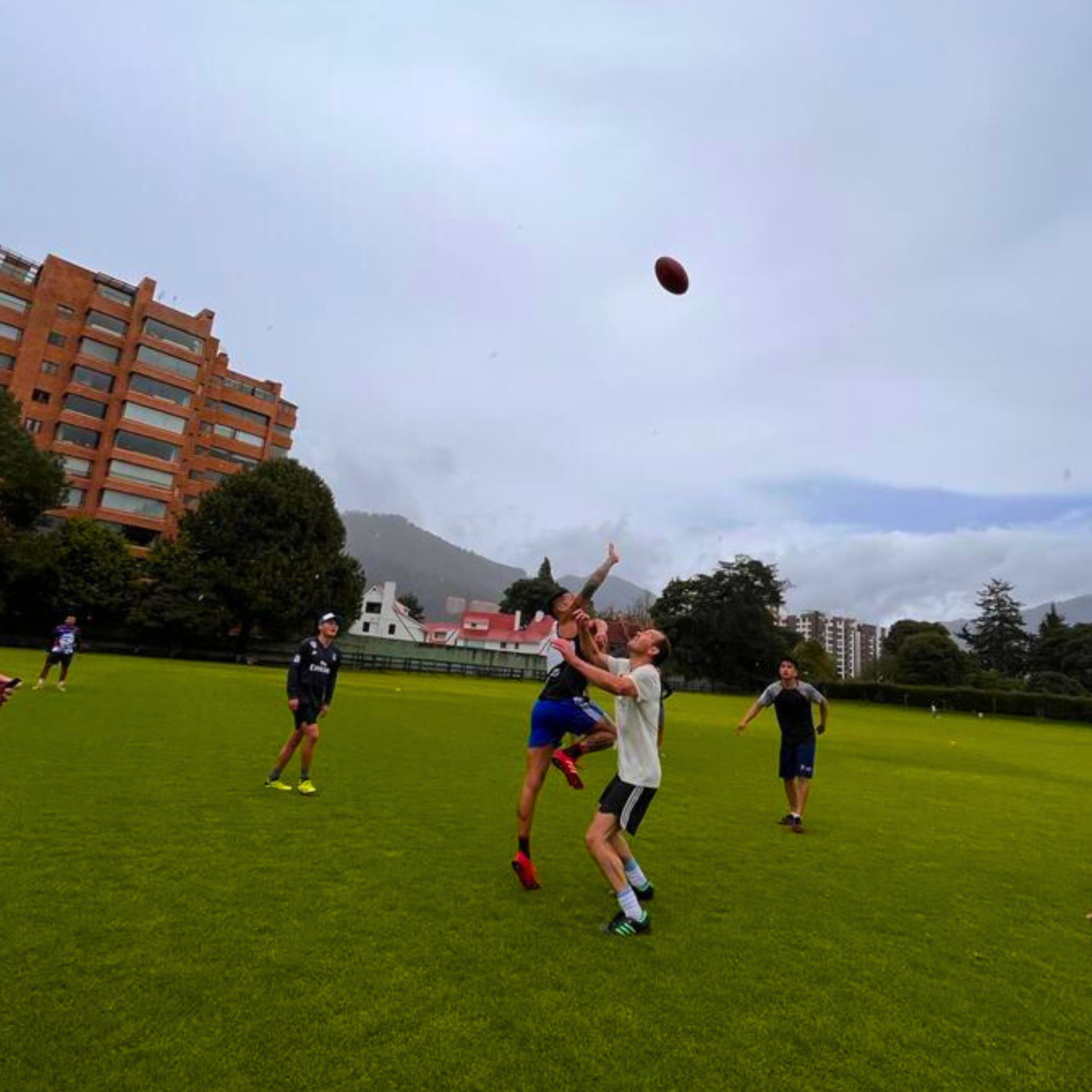 Not so gaga for physical footy: Time to nip it in the rib?! episode artwork