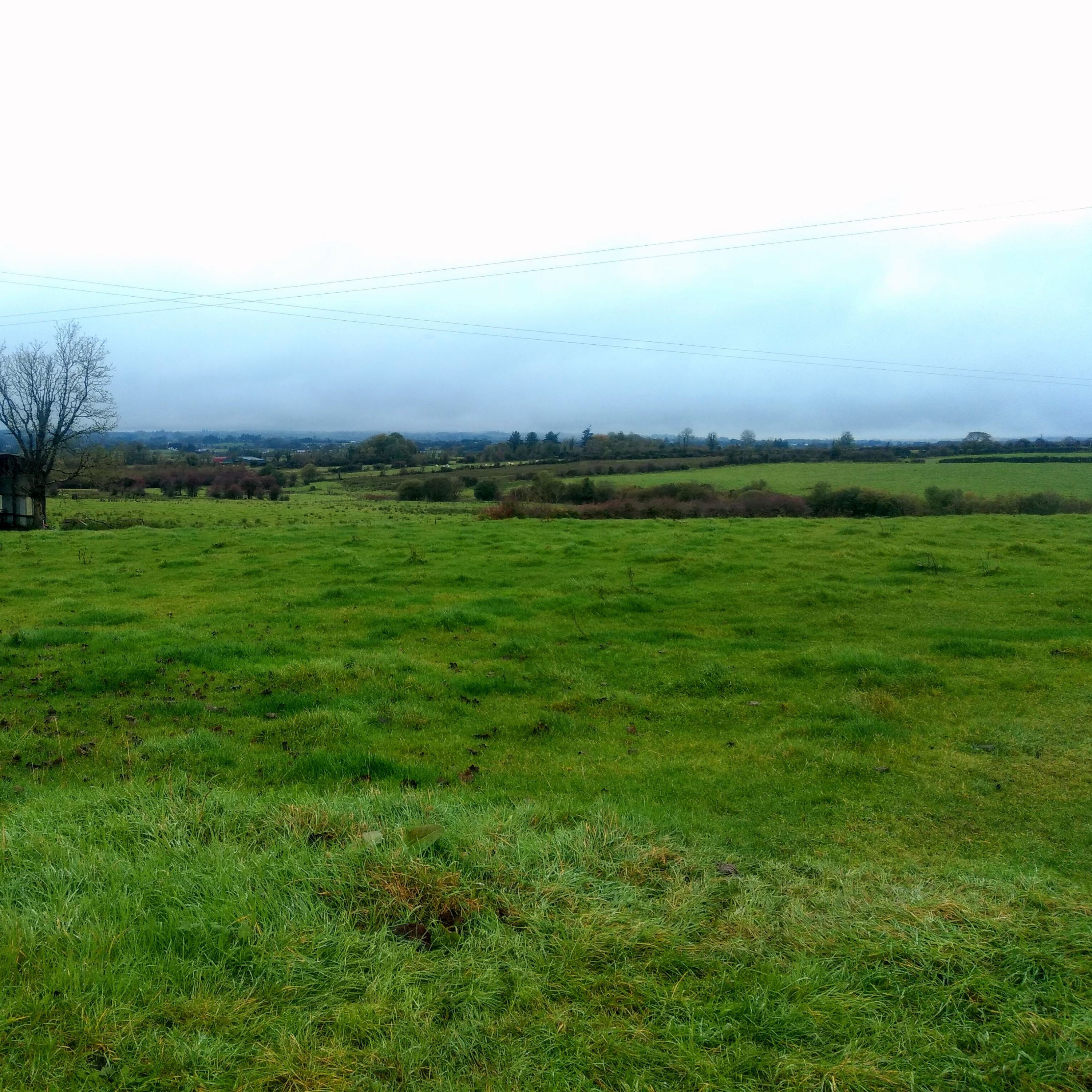 A little blue in the green, green grass of Ireland episode artwork