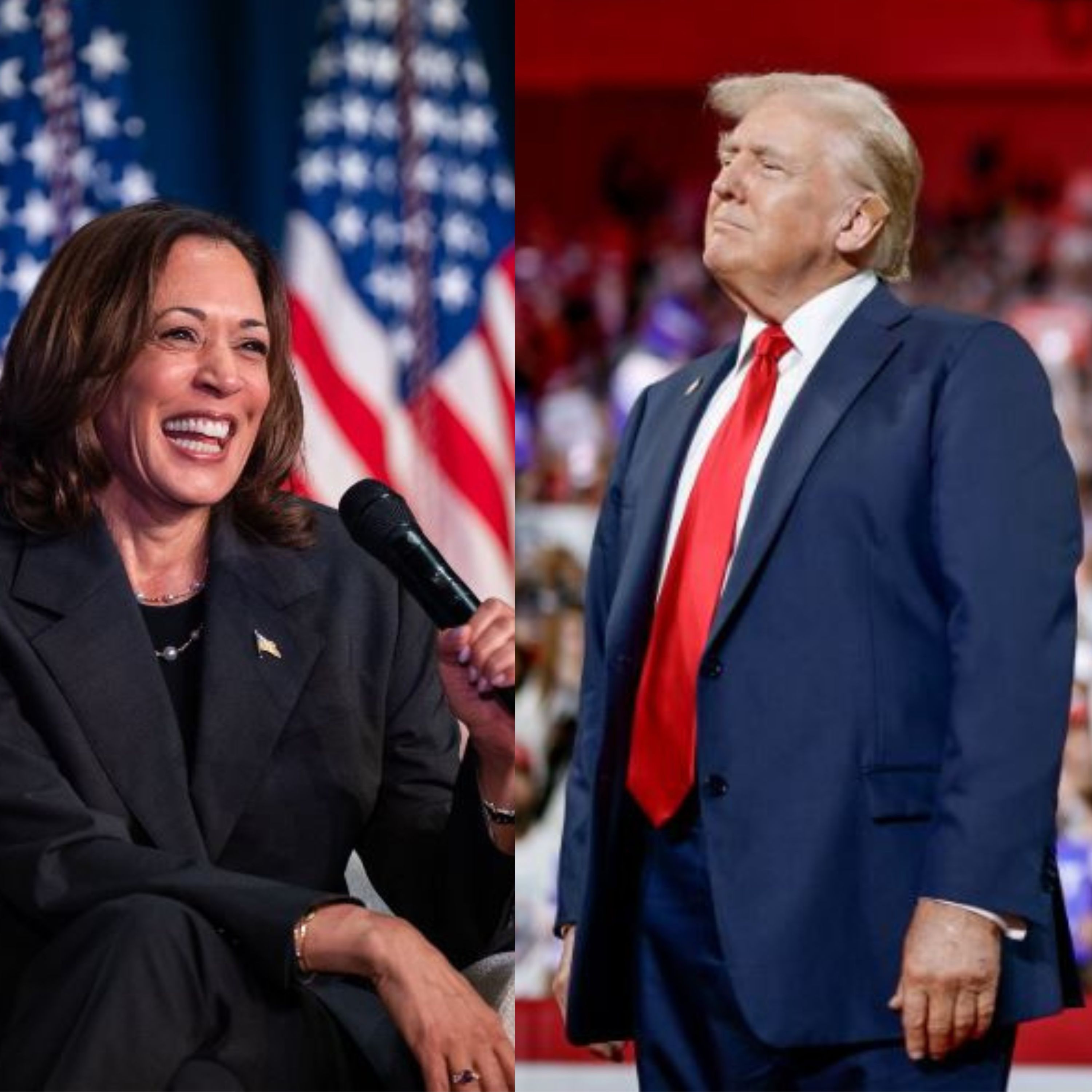 US democracy drags on. But decorum is dead episode artwork