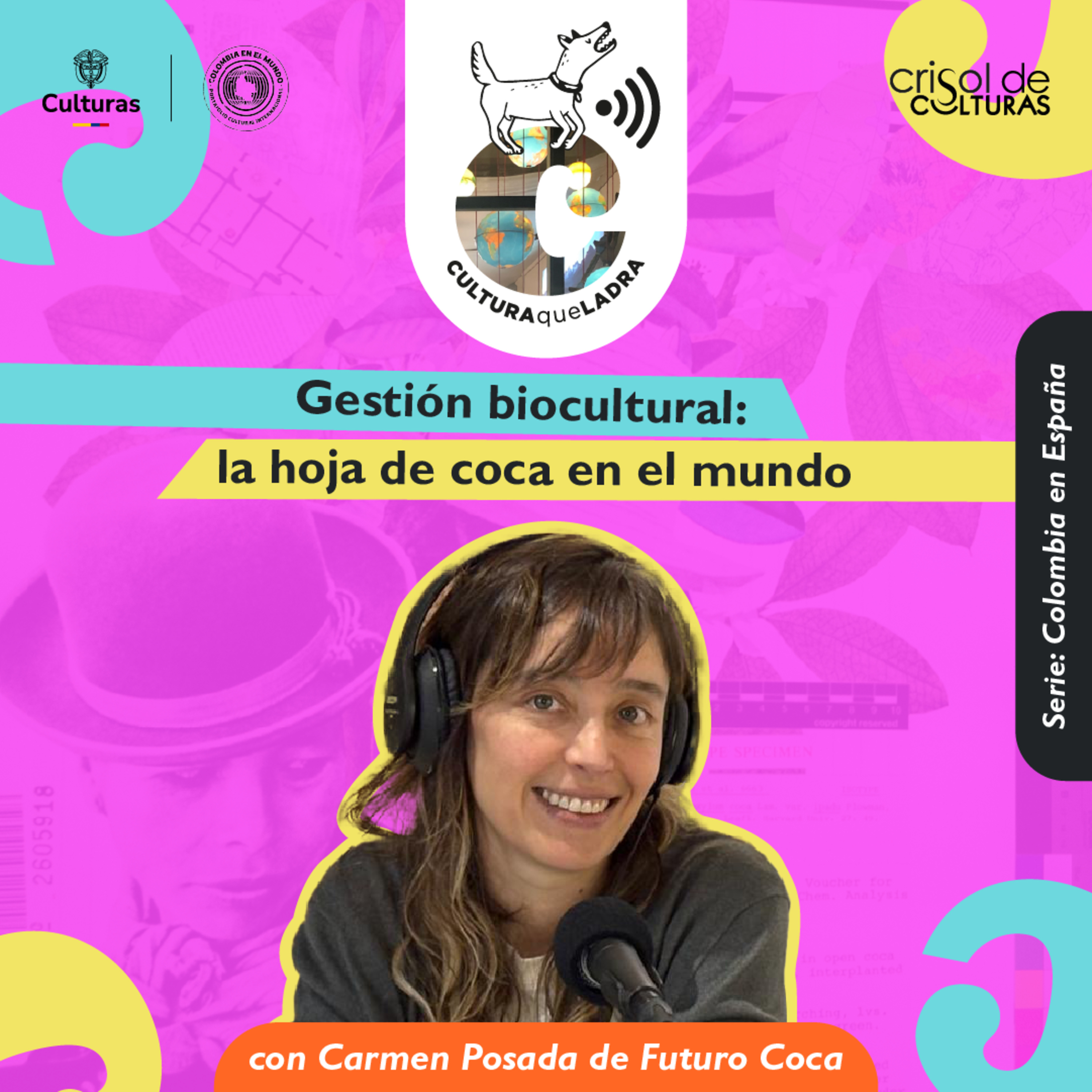 Gestión biocultural: la hoja de coca en el mundo episode artwork