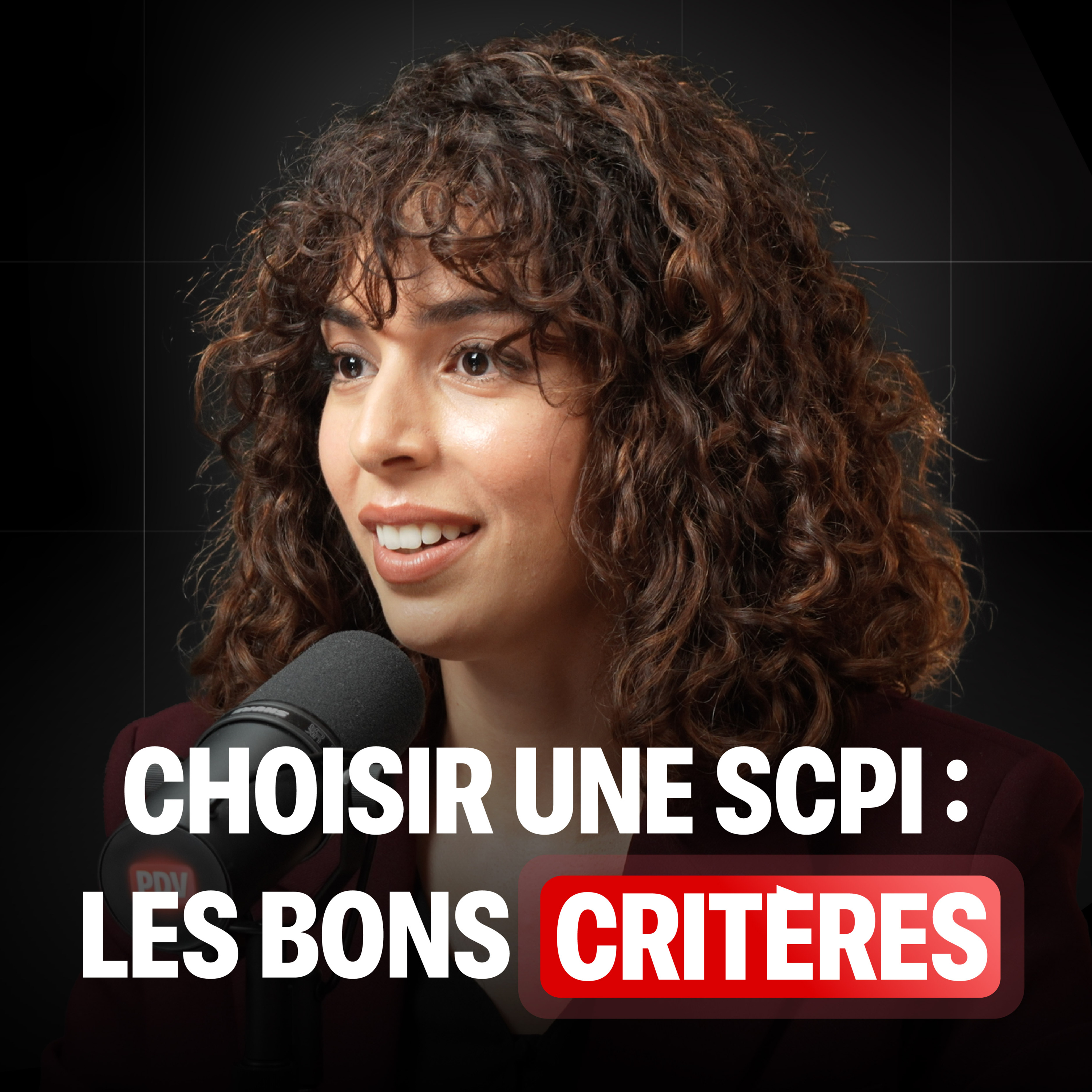 Choisir une SCPI : les bons critères episode artwork