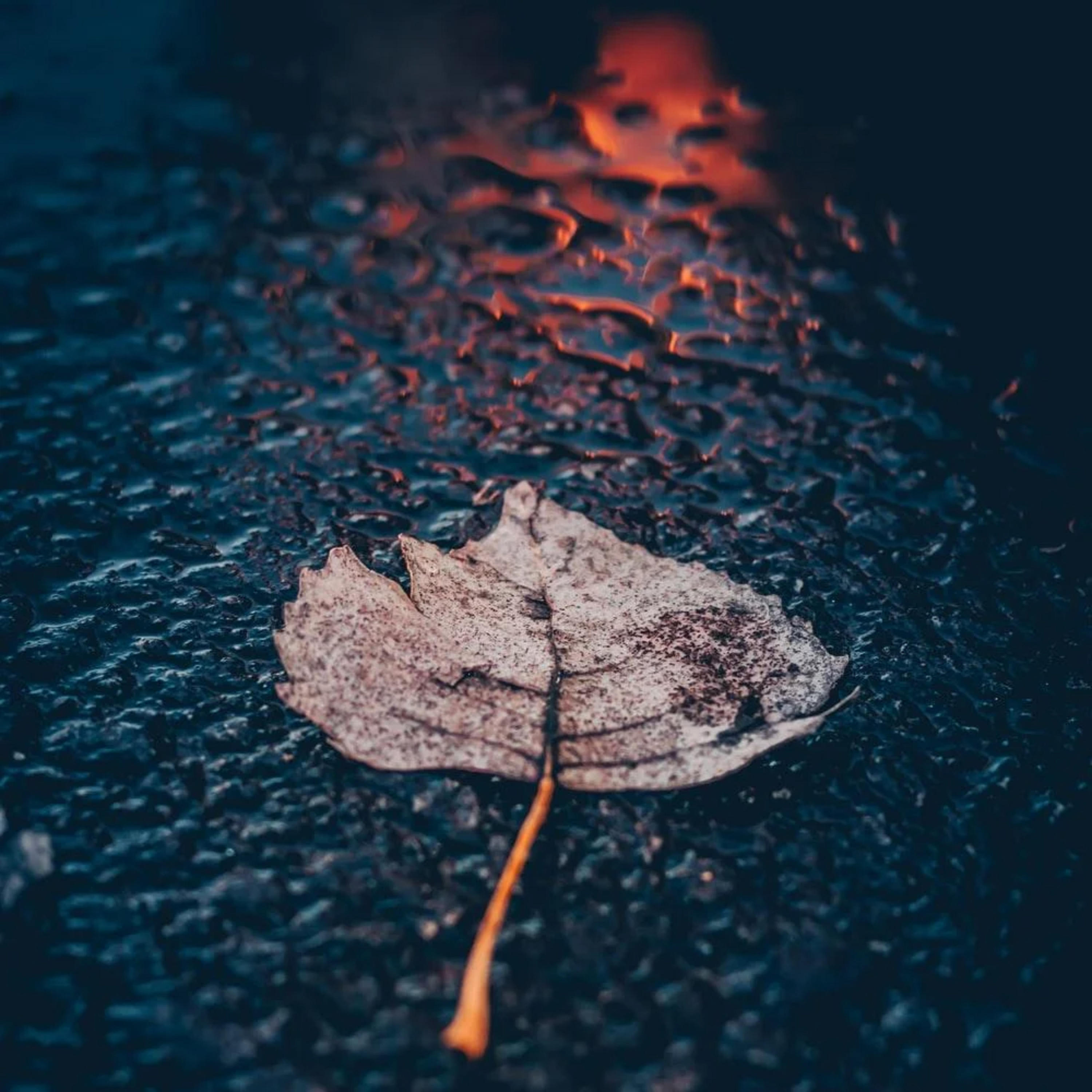 سيرة ناقصة لأصدقائي