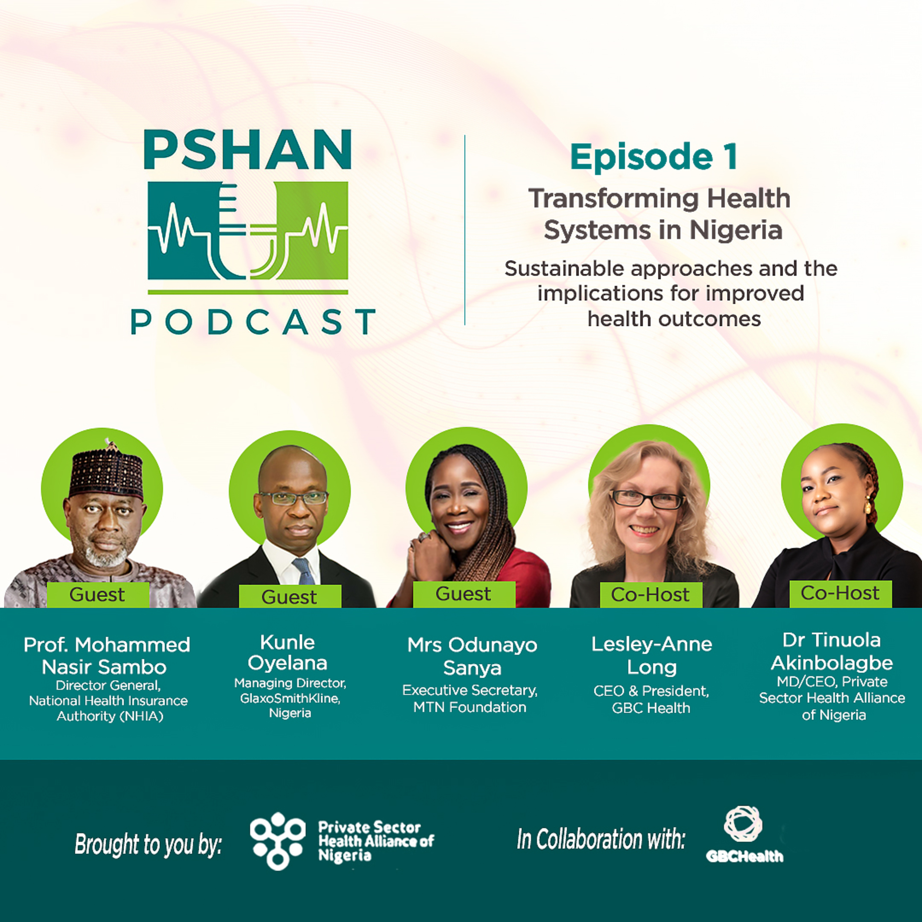 Transforming Health Systems in Nigeria