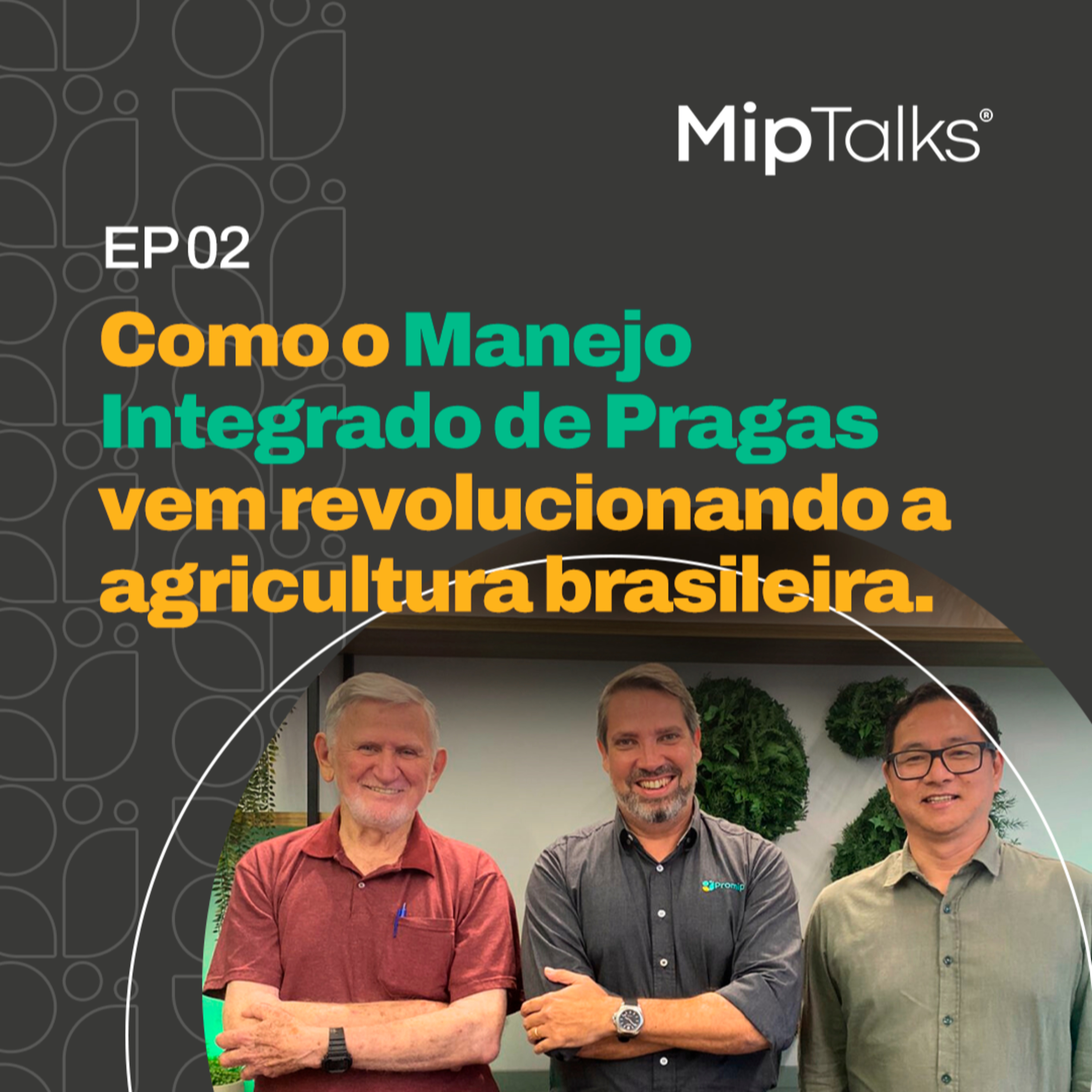 MipTalks