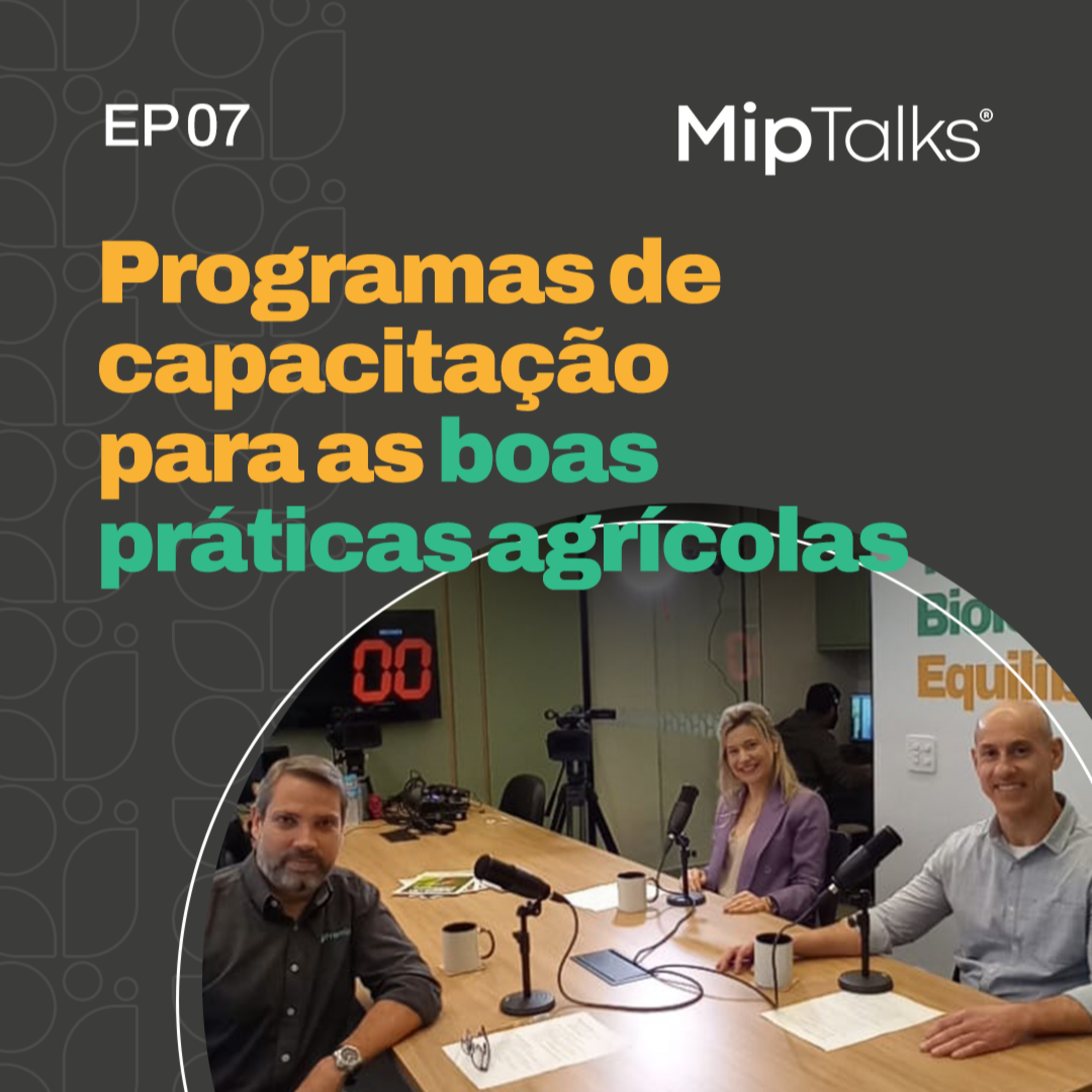 MipTalks