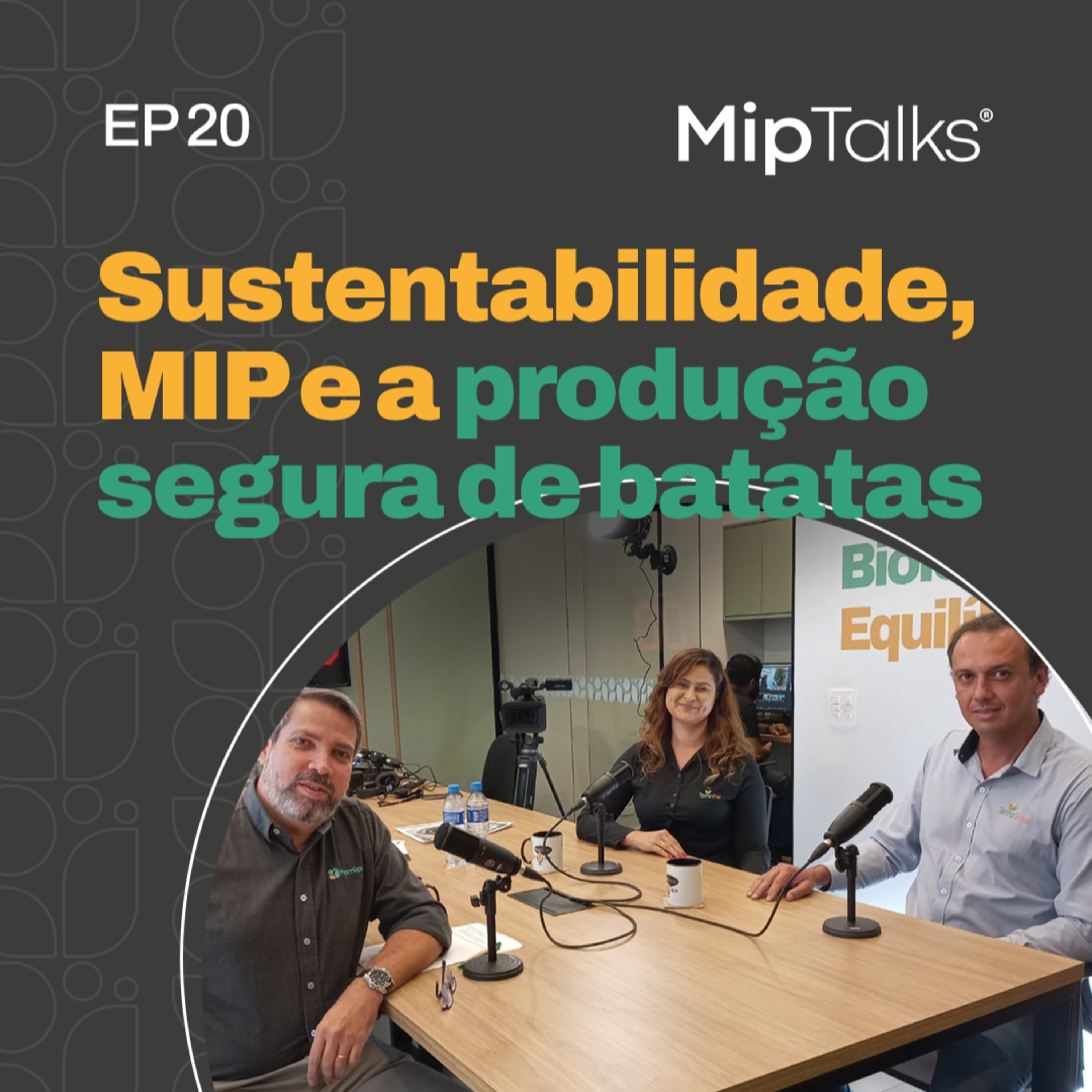 MipTalks