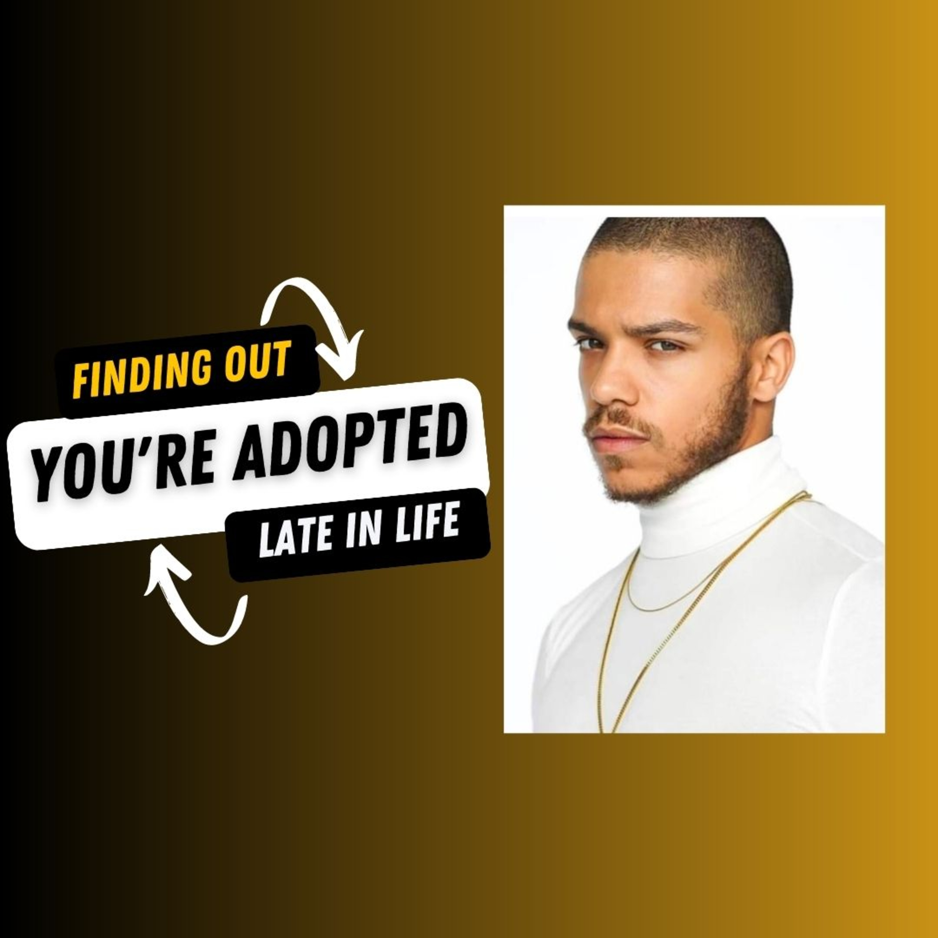 The Adoption Journey Podcast