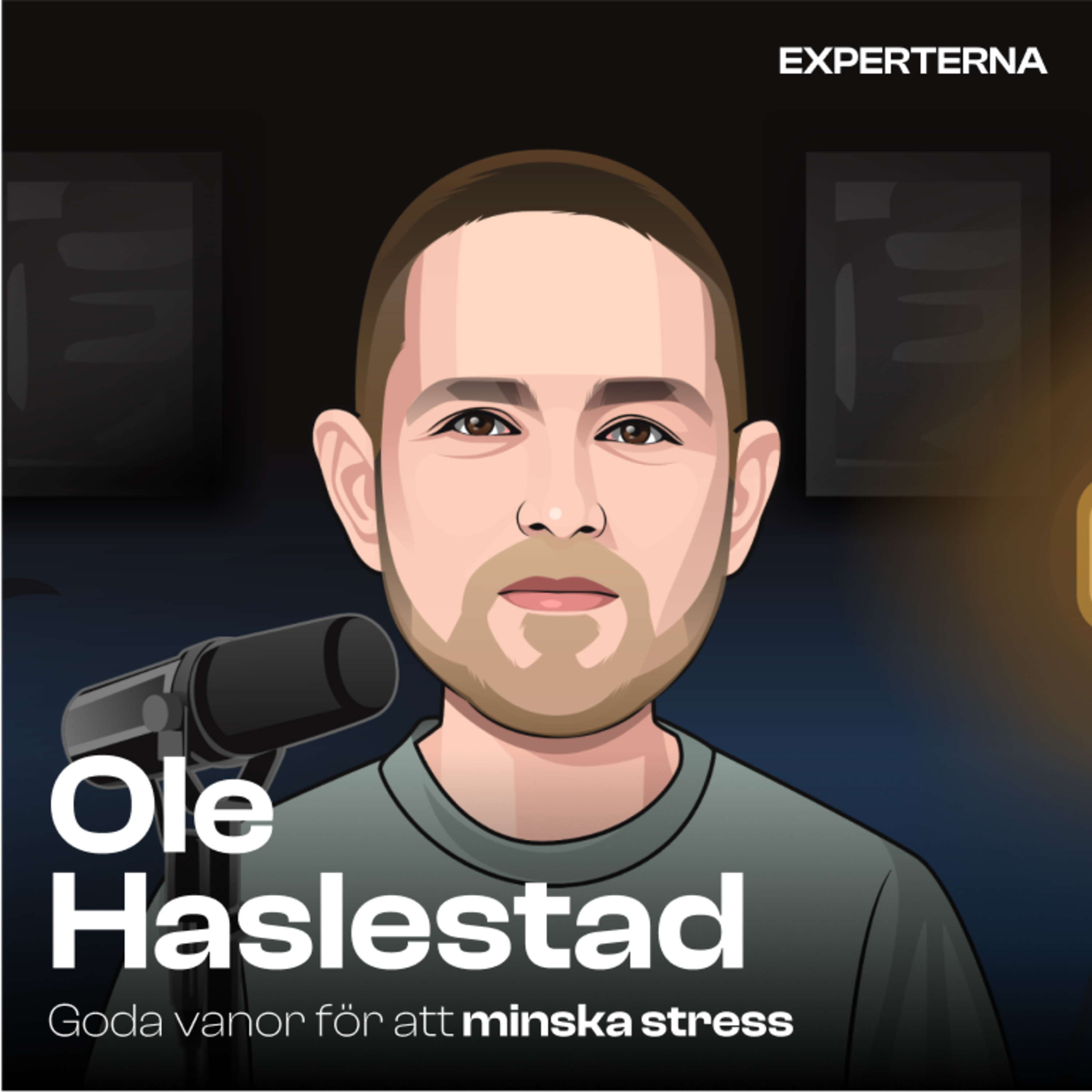 #6 Goda vanor för att minska stress med Ole Haslestad episode artwork
