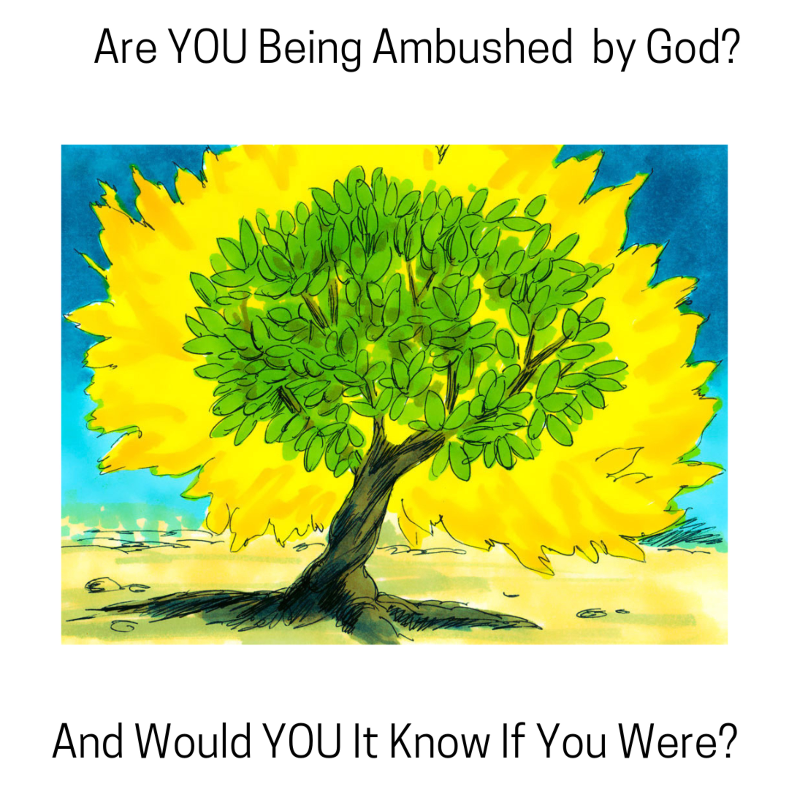 Living Life on Purpose-God\'s Purpose