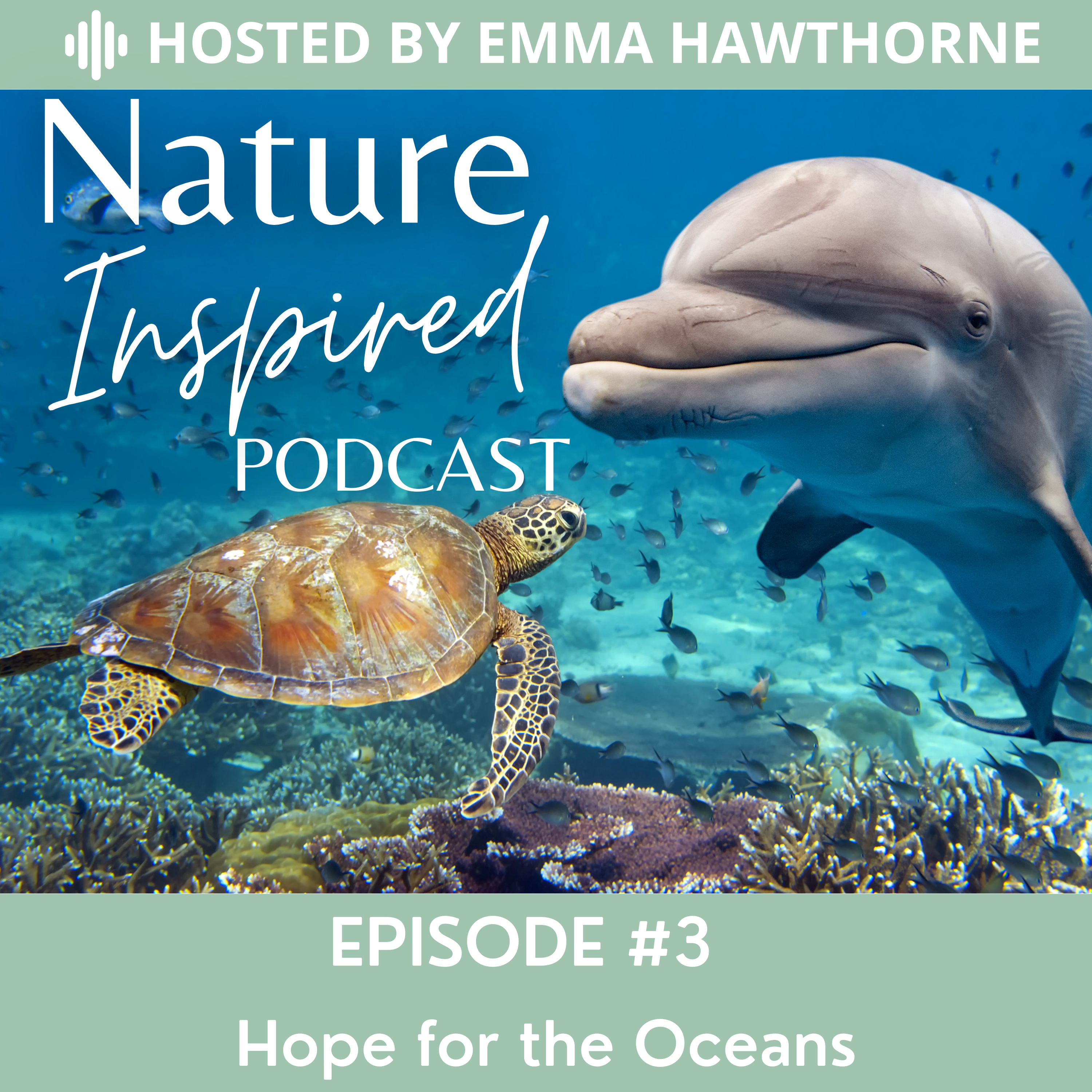 Hope for the Oceans episode artwork