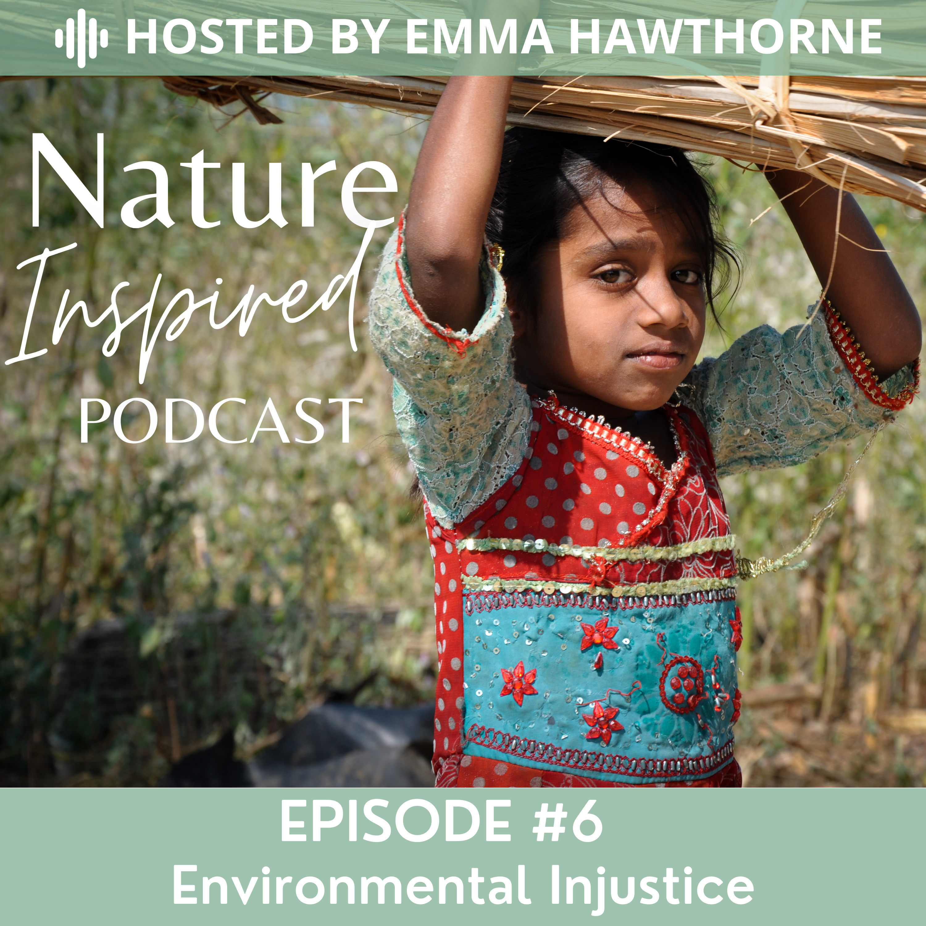 Environmental Injustice episode artwork