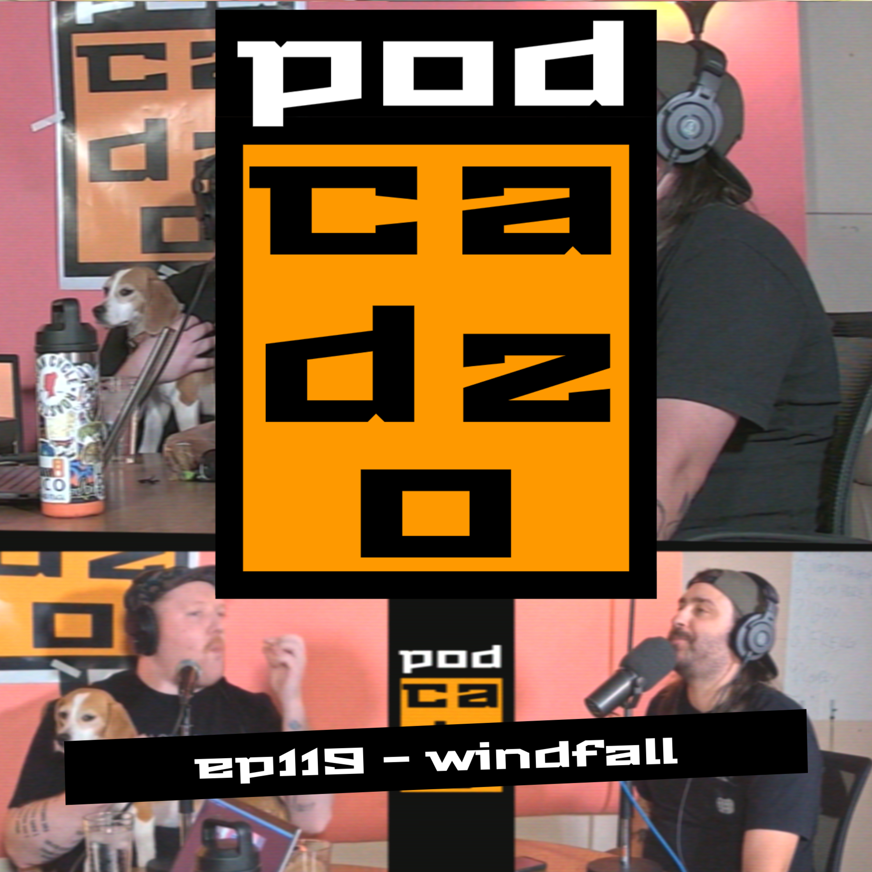 ep119 - windfall episode artwork