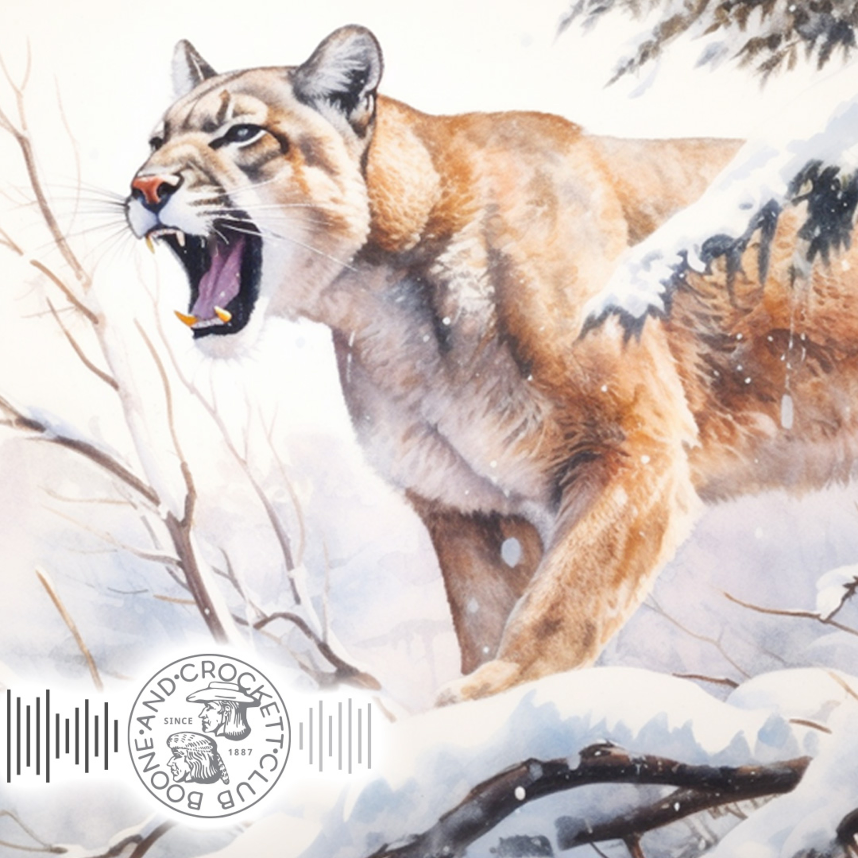 Boone and Crockett Club\'s Audio Adventures