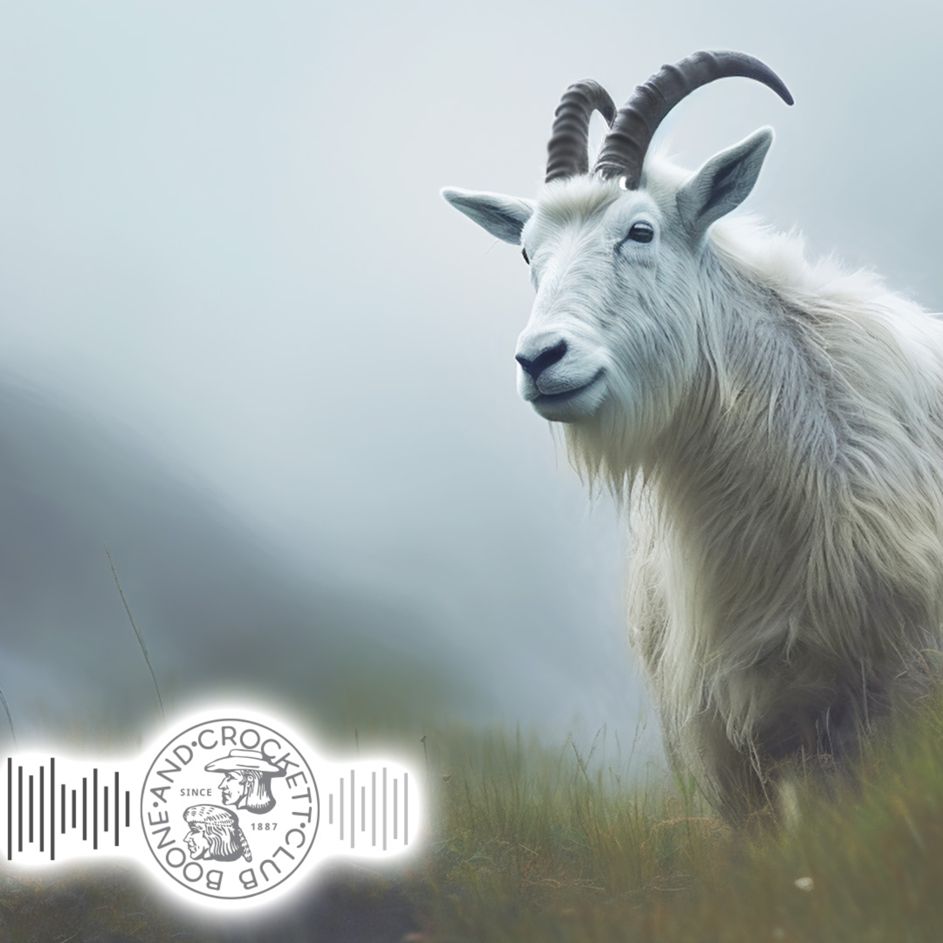 Boone and Crockett Club\'s Audio Adventures