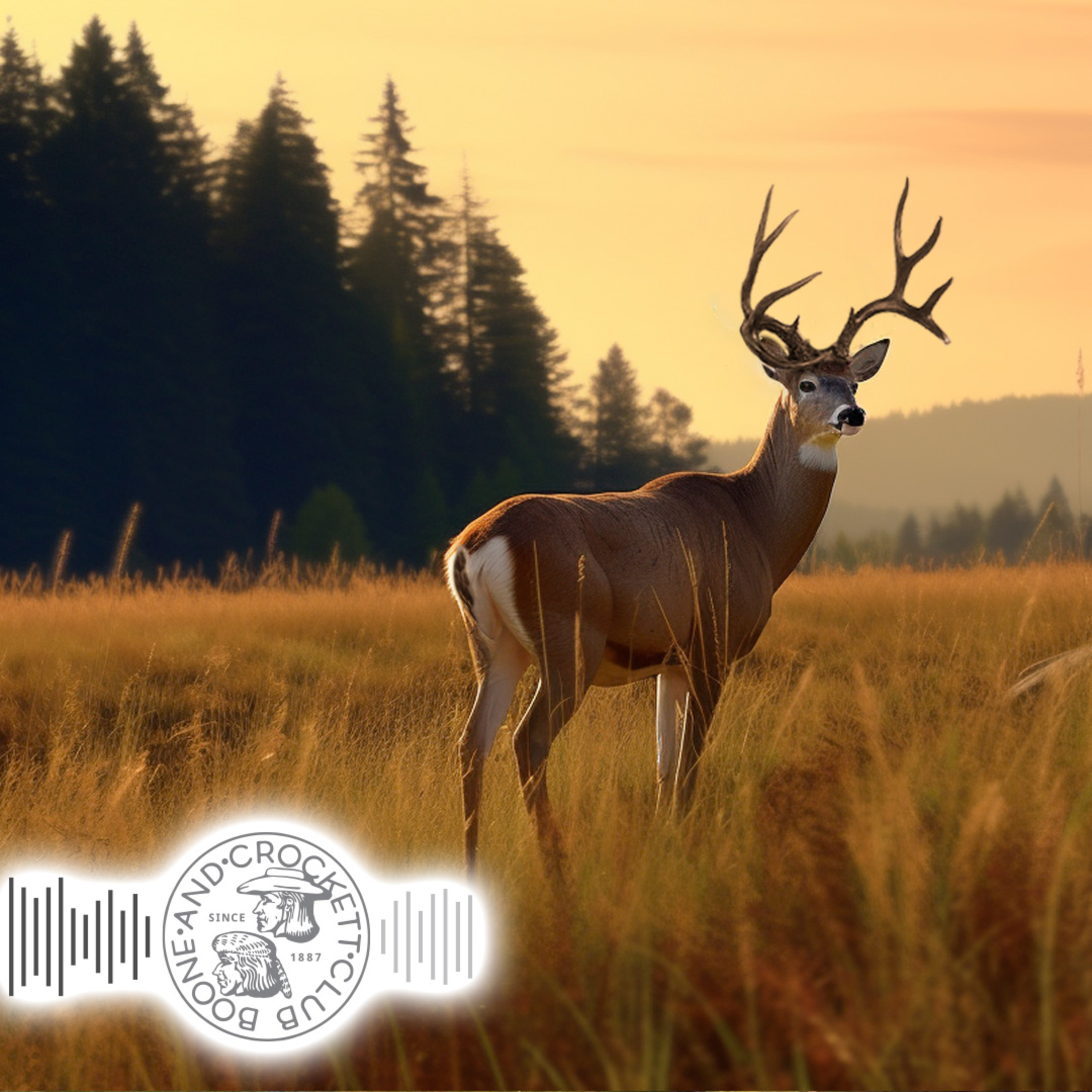 Boone and Crockett Club\'s Audio Adventures
