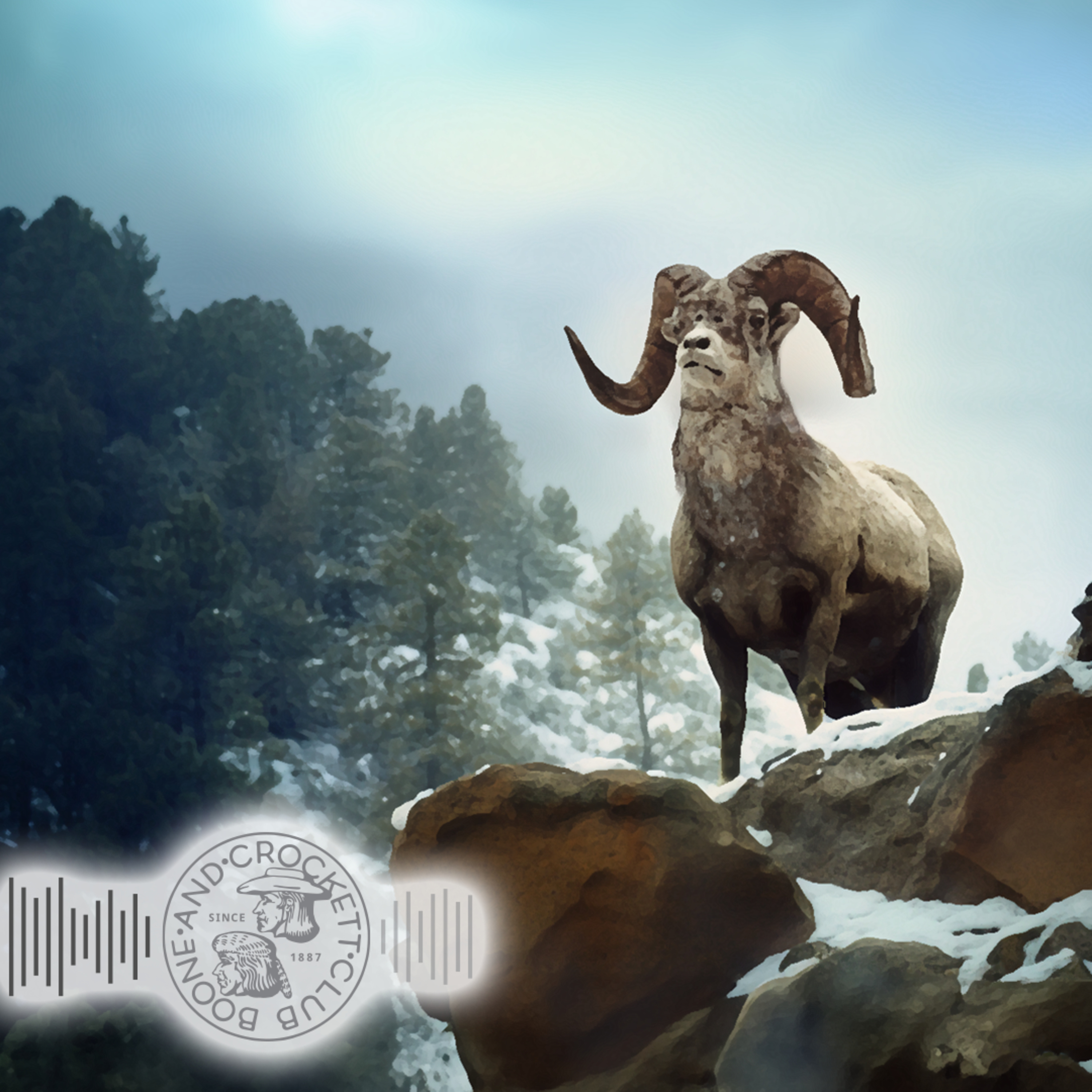 Boone and Crockett Club\'s Audio Adventures