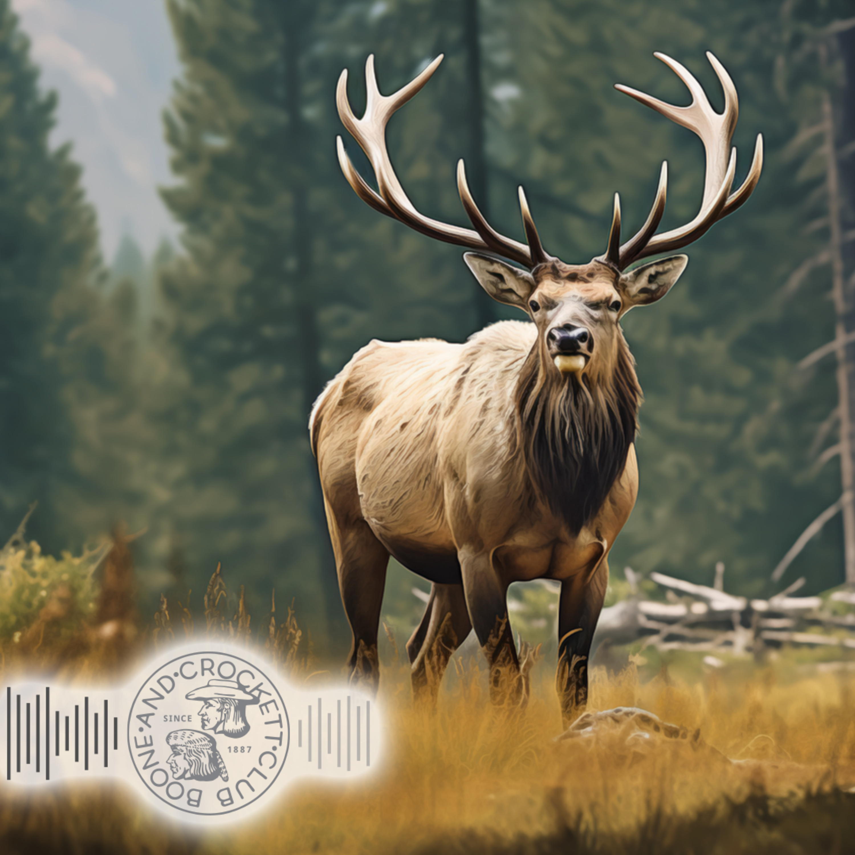 Boone and Crockett Club\'s Audio Adventures