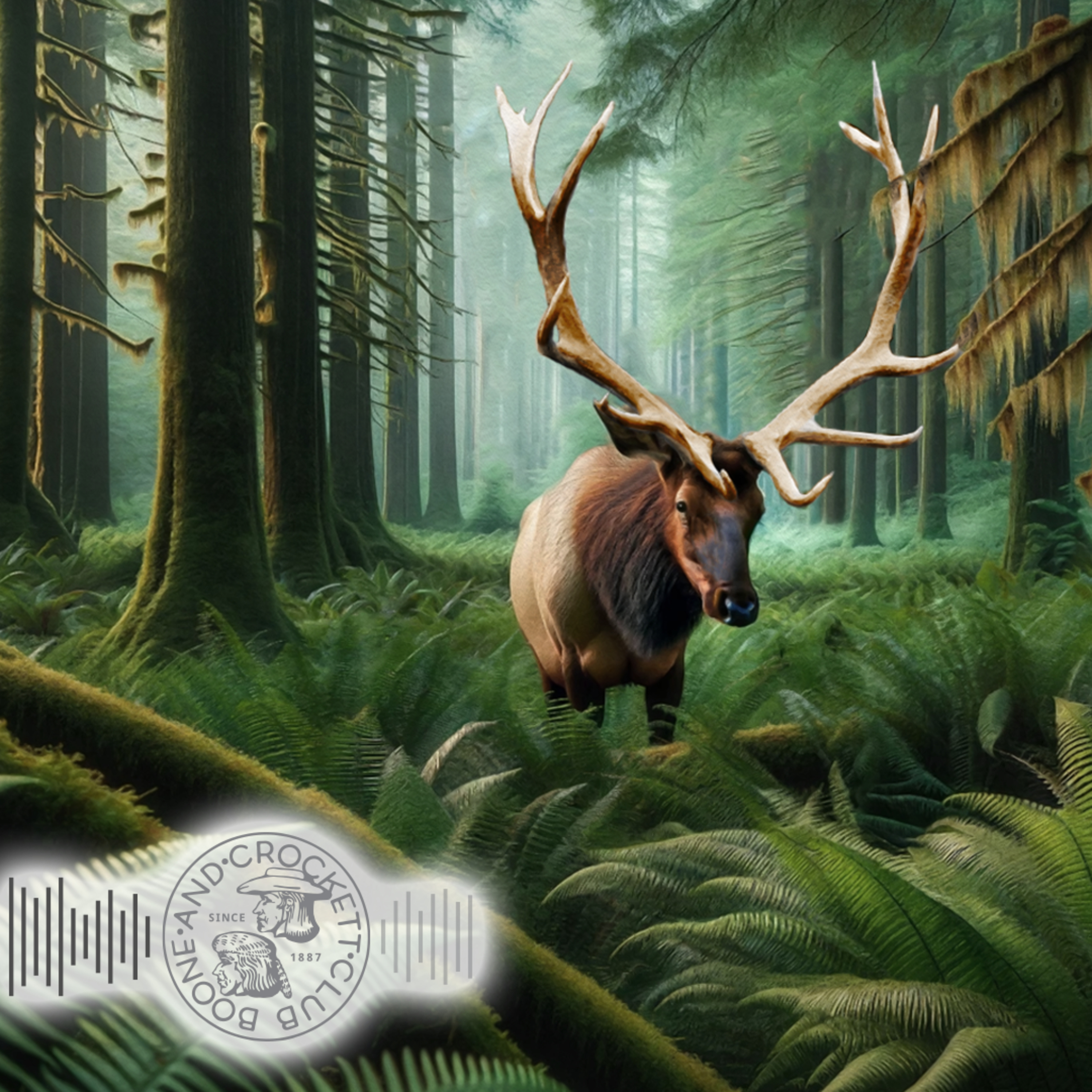 Boone and Crockett Club\'s Audio Adventures
