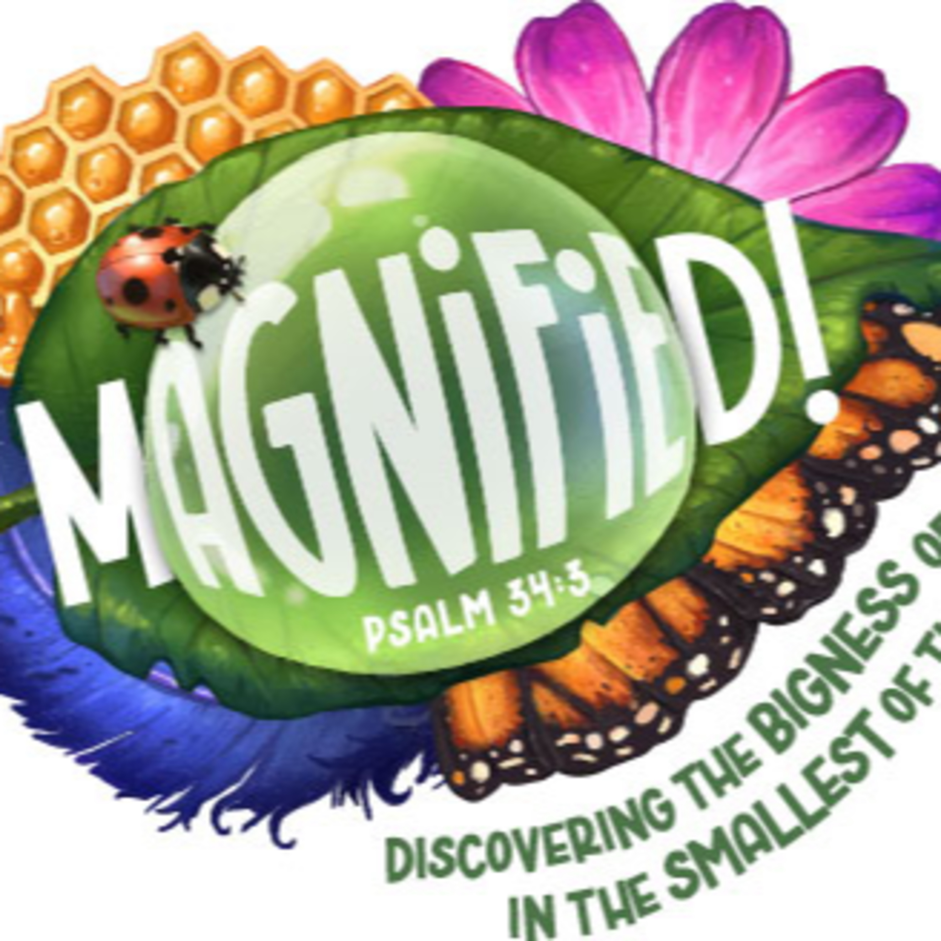 Psalm 34 "VBS Sunday" (7/27/25) episode artwork