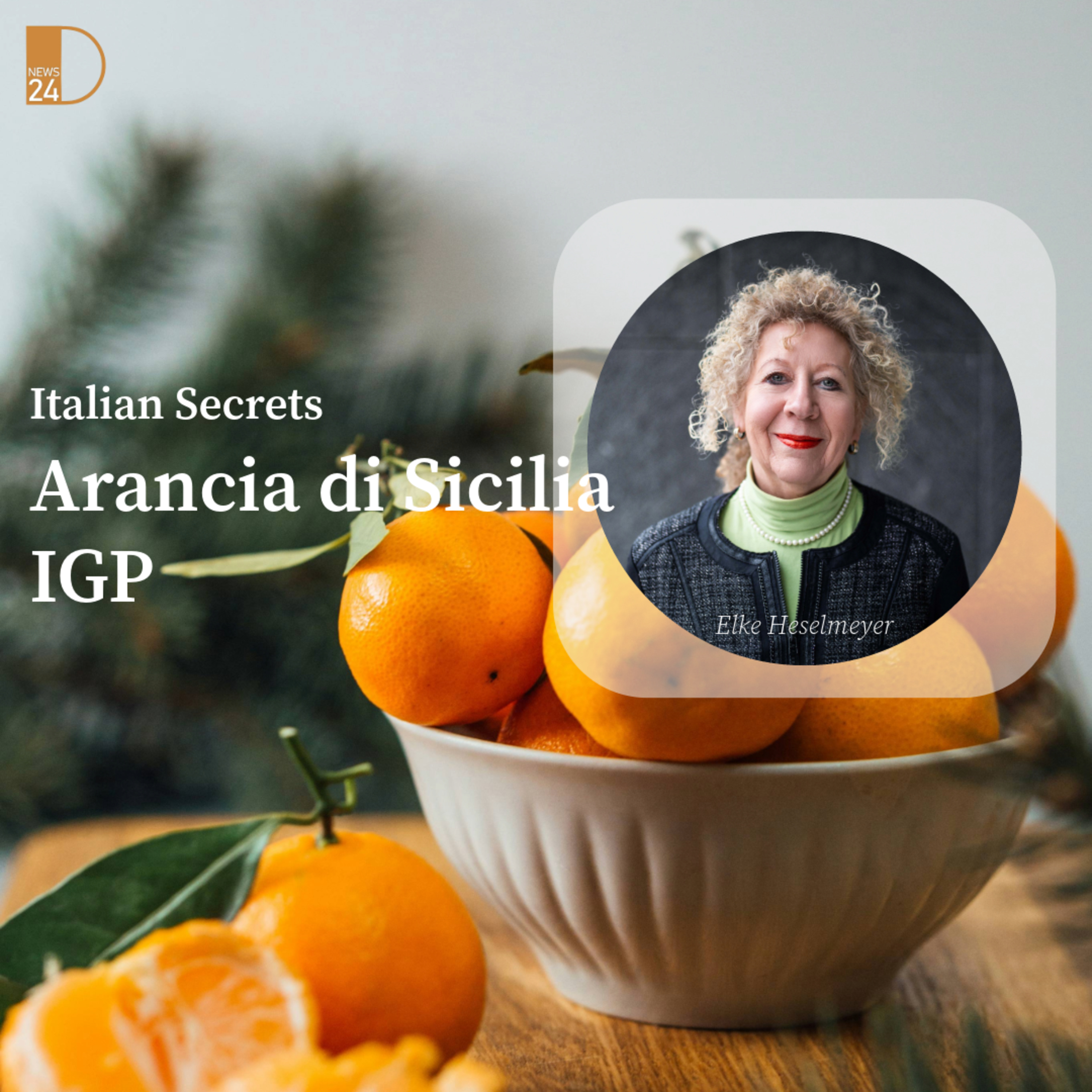 Arancia di Sicilia IGP. Italian Secrets in DNEWS24 episode artwork