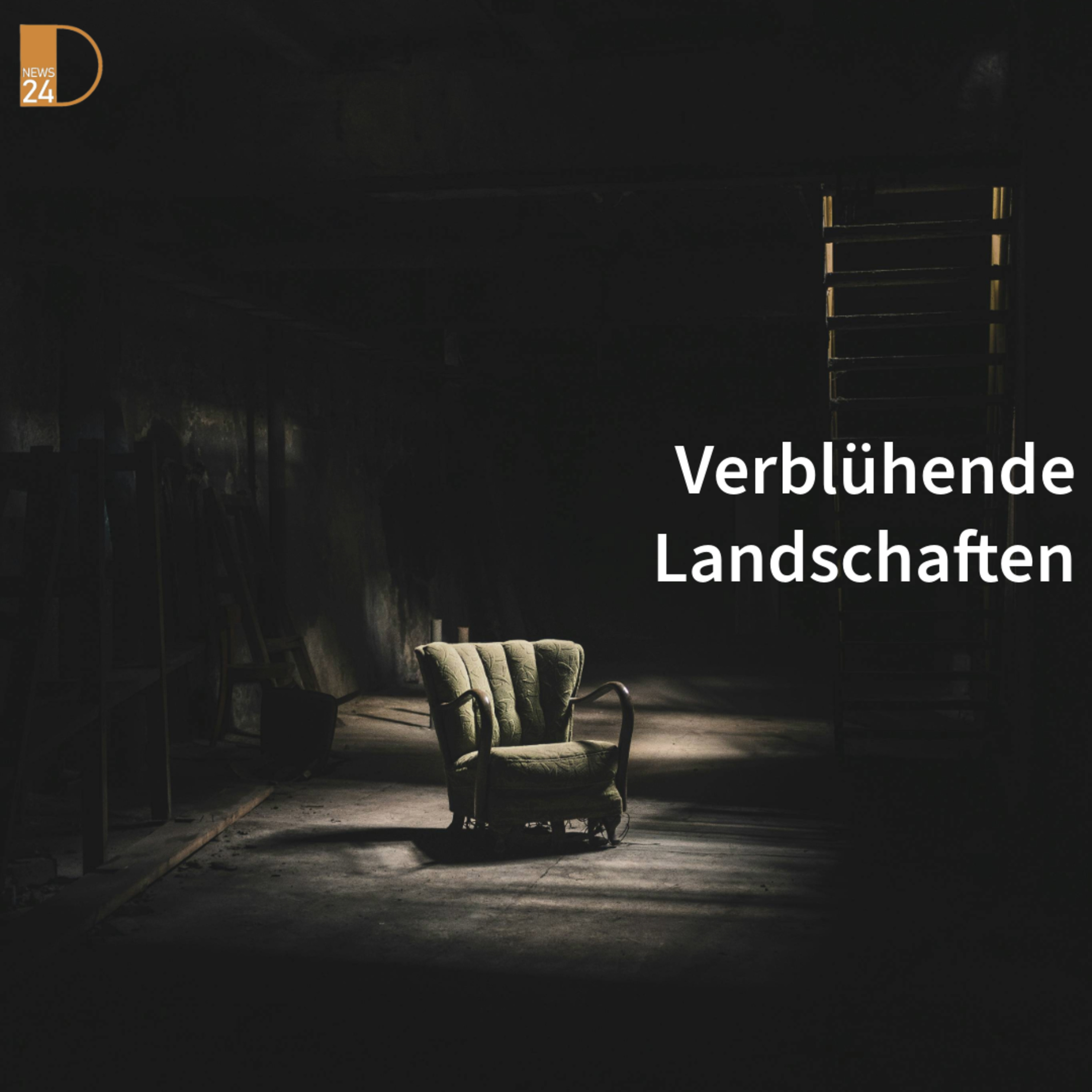 Verblühende Landschaften - Gedankenmacher in DNEWS24 episode artwork