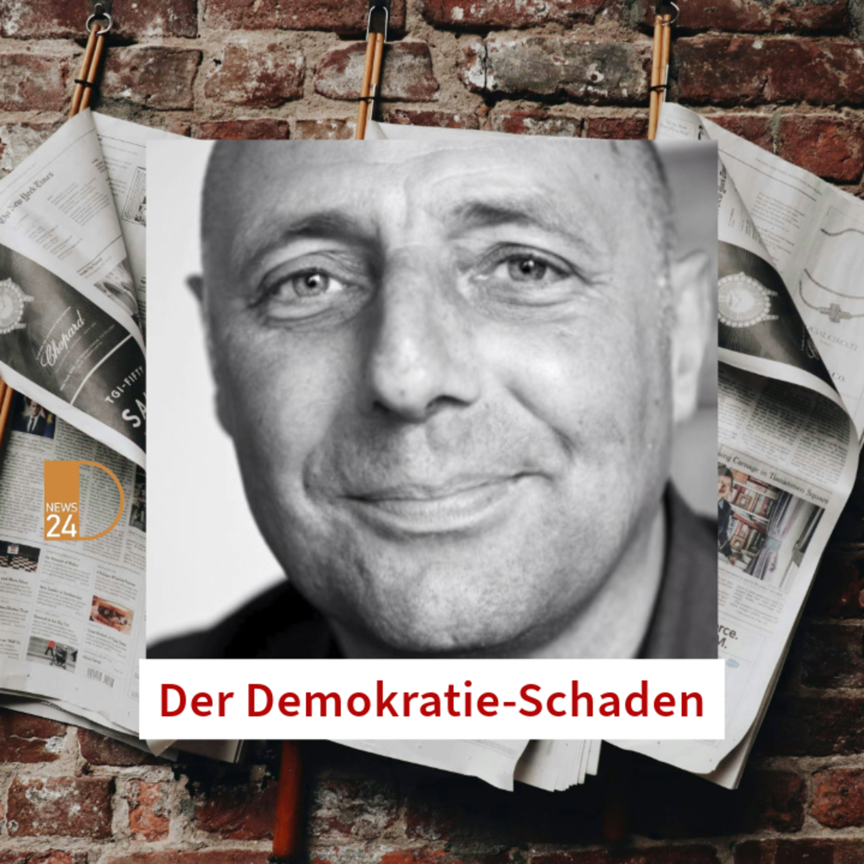 Der Demokratie-Schaden episode artwork