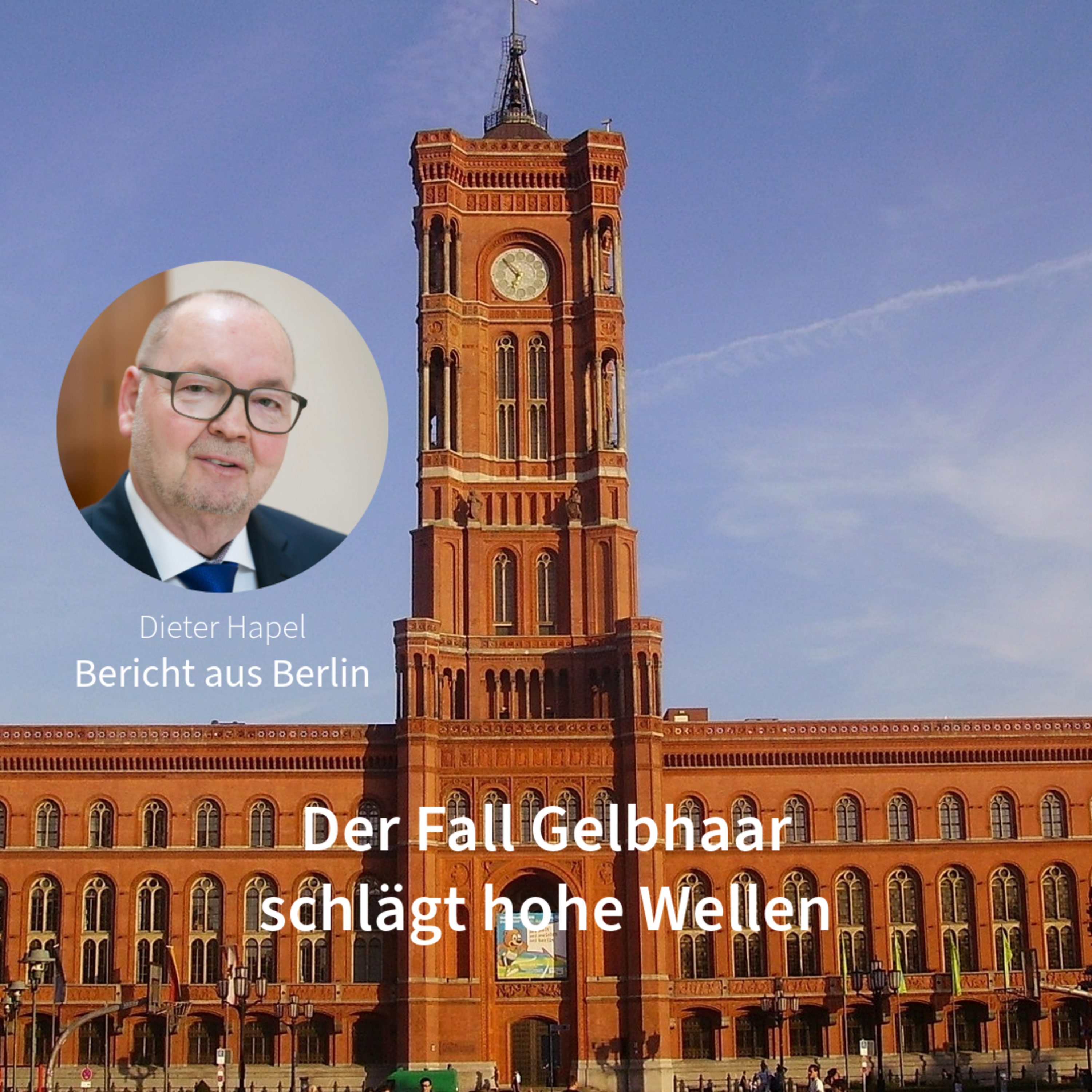 Der Fall Gelbhaar schlägt hohe Wellen. Bericht aus Berlin mit Dieter Hapel episode artwork