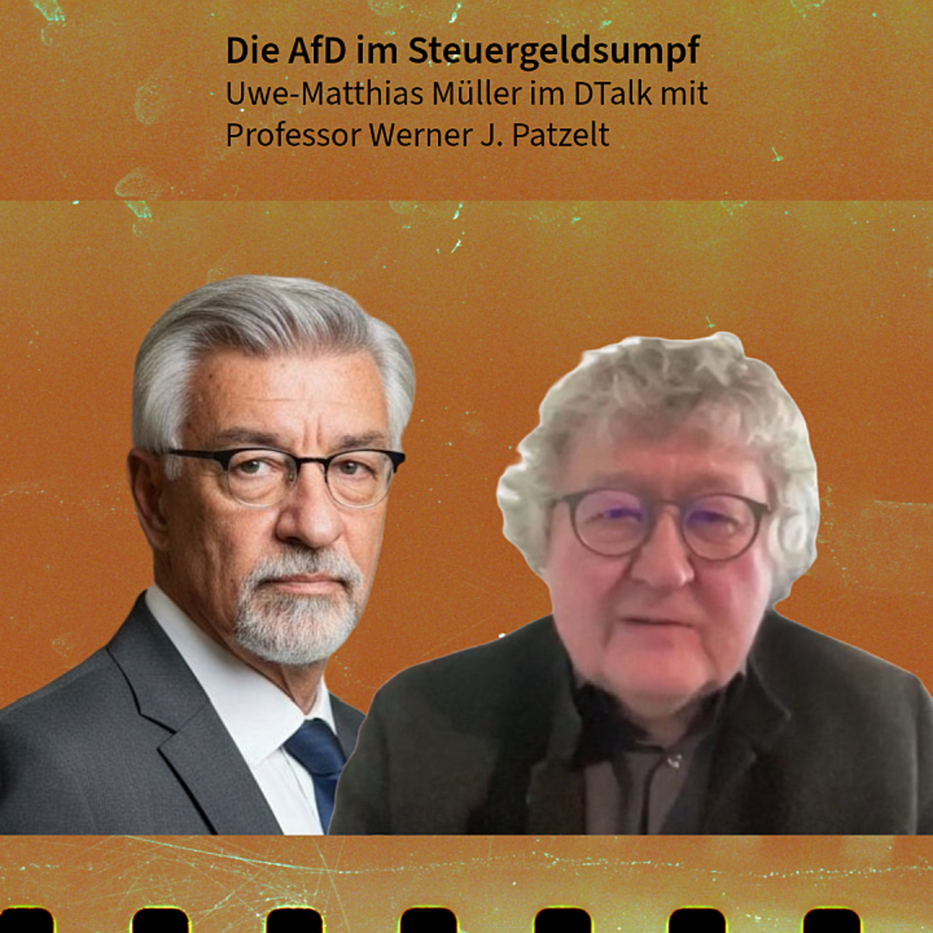 Die AfD im Steuergeldsumpf. DTalk Professor Werner J Patzelt episode artwork