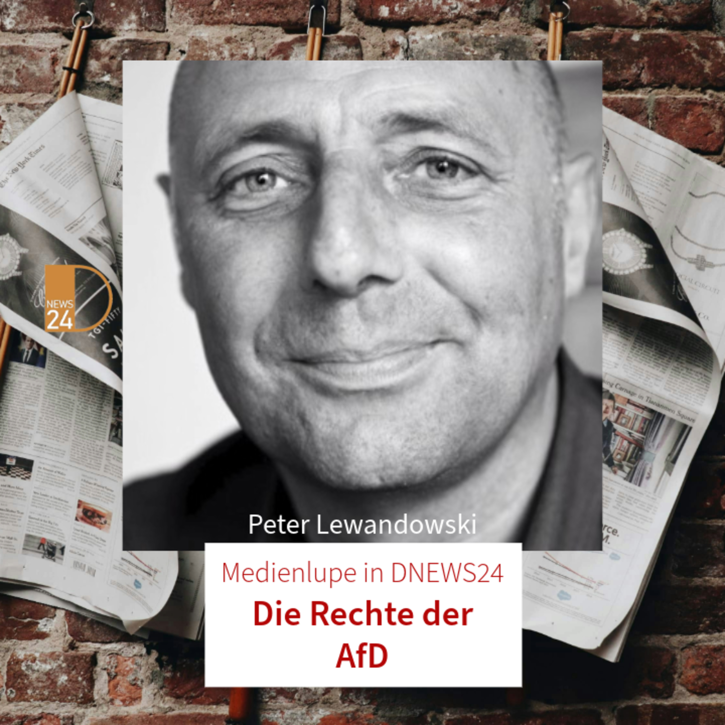 Die Rechte der AfD. Medienlupe mit Peter Lewandowski in DNEWS24 episode artwork