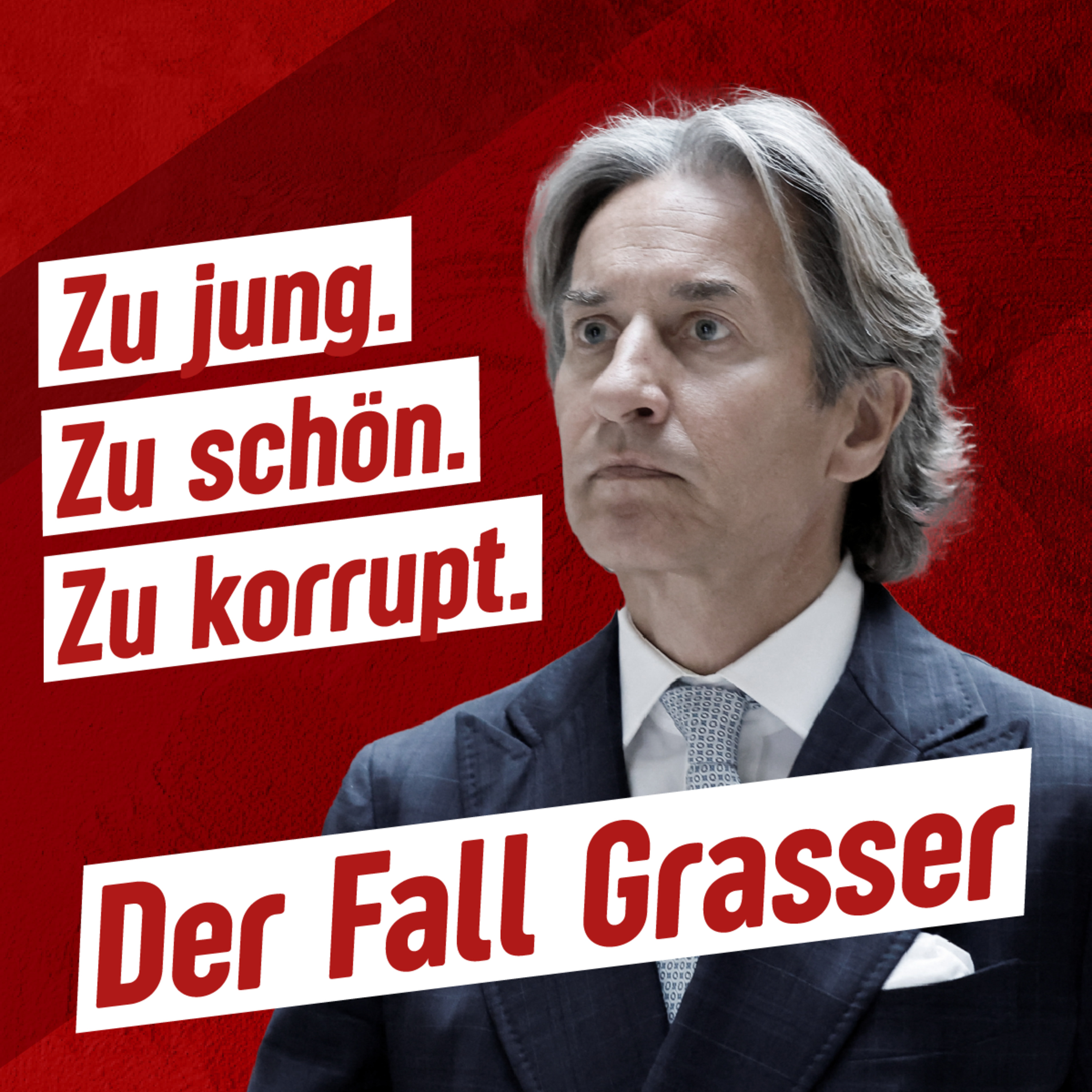 245 – Zu jung, zu schön, zu korrupt: Der Fall Grasser episode artwork