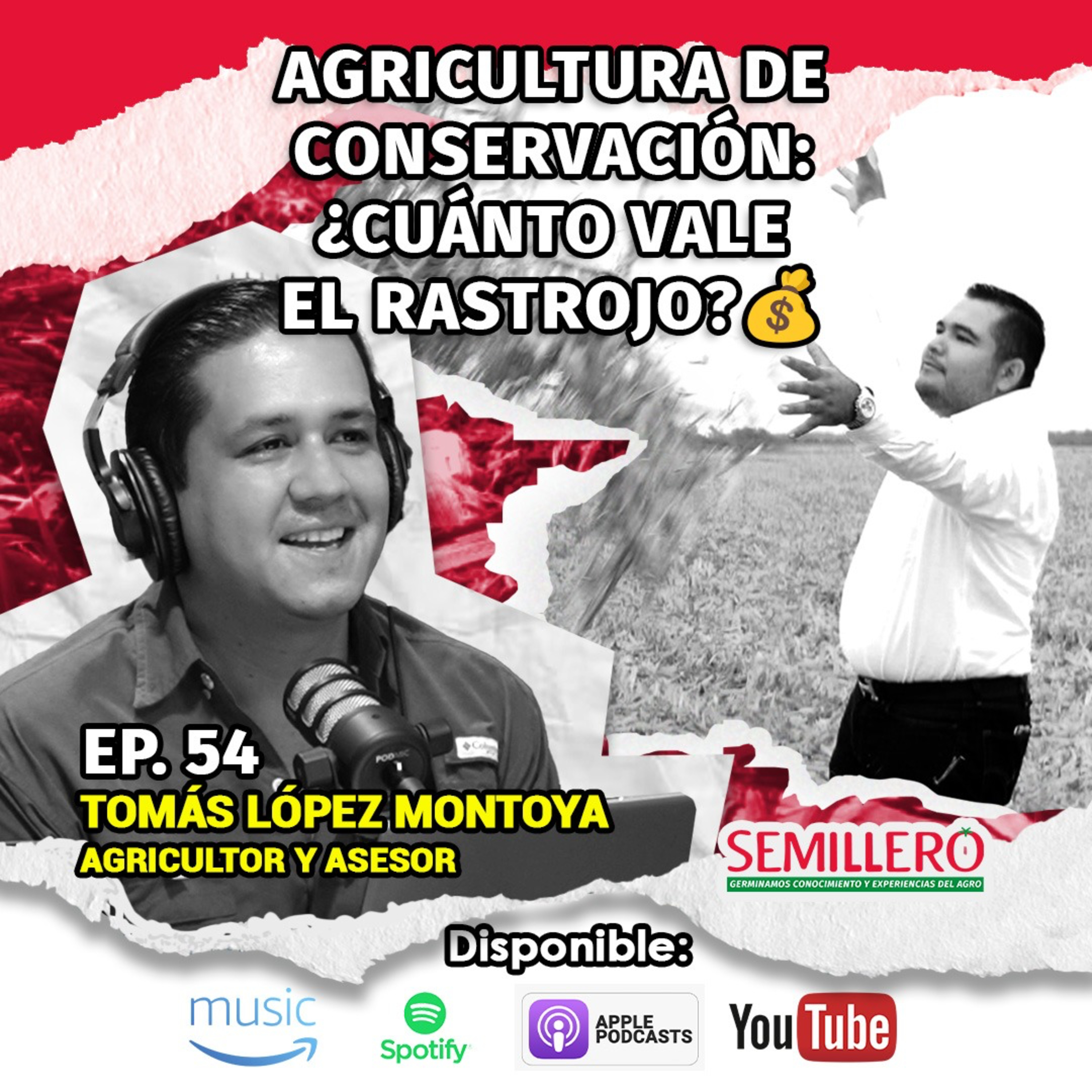 EP. 54 Agricultura de CONSERVACIÓN: ¿cuánto vale el RASTROJO? | Tomás López episode artwork