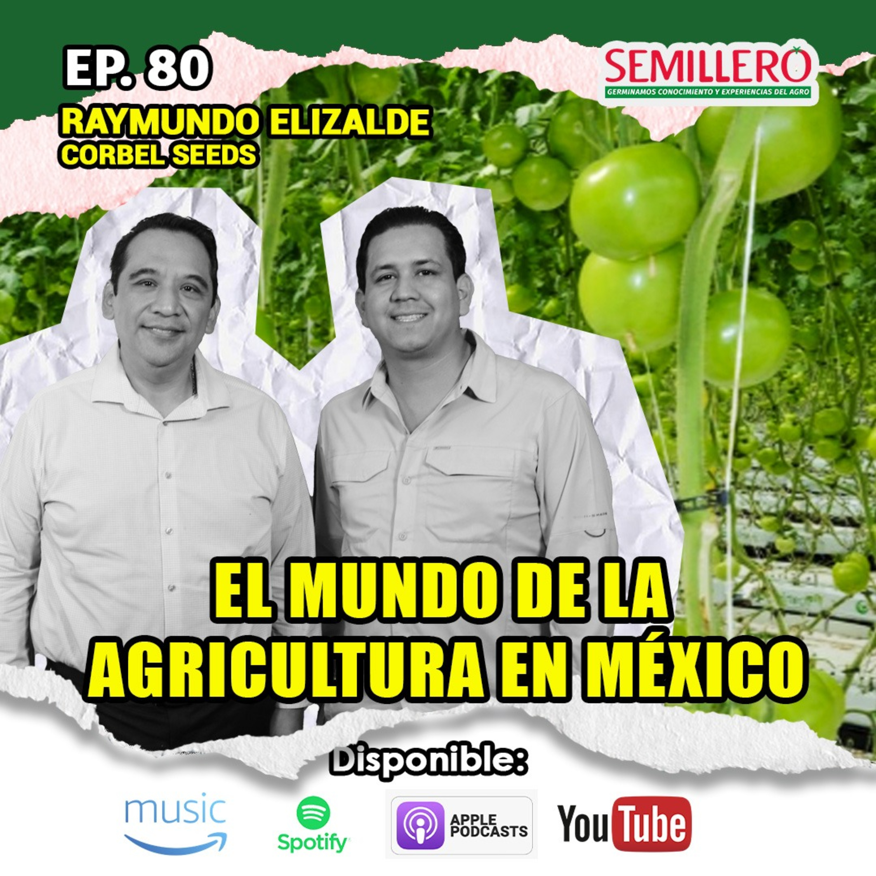 EP. 80 El MUNDO de la AGRICULTURA en México | Raymundo Elizalde episode artwork