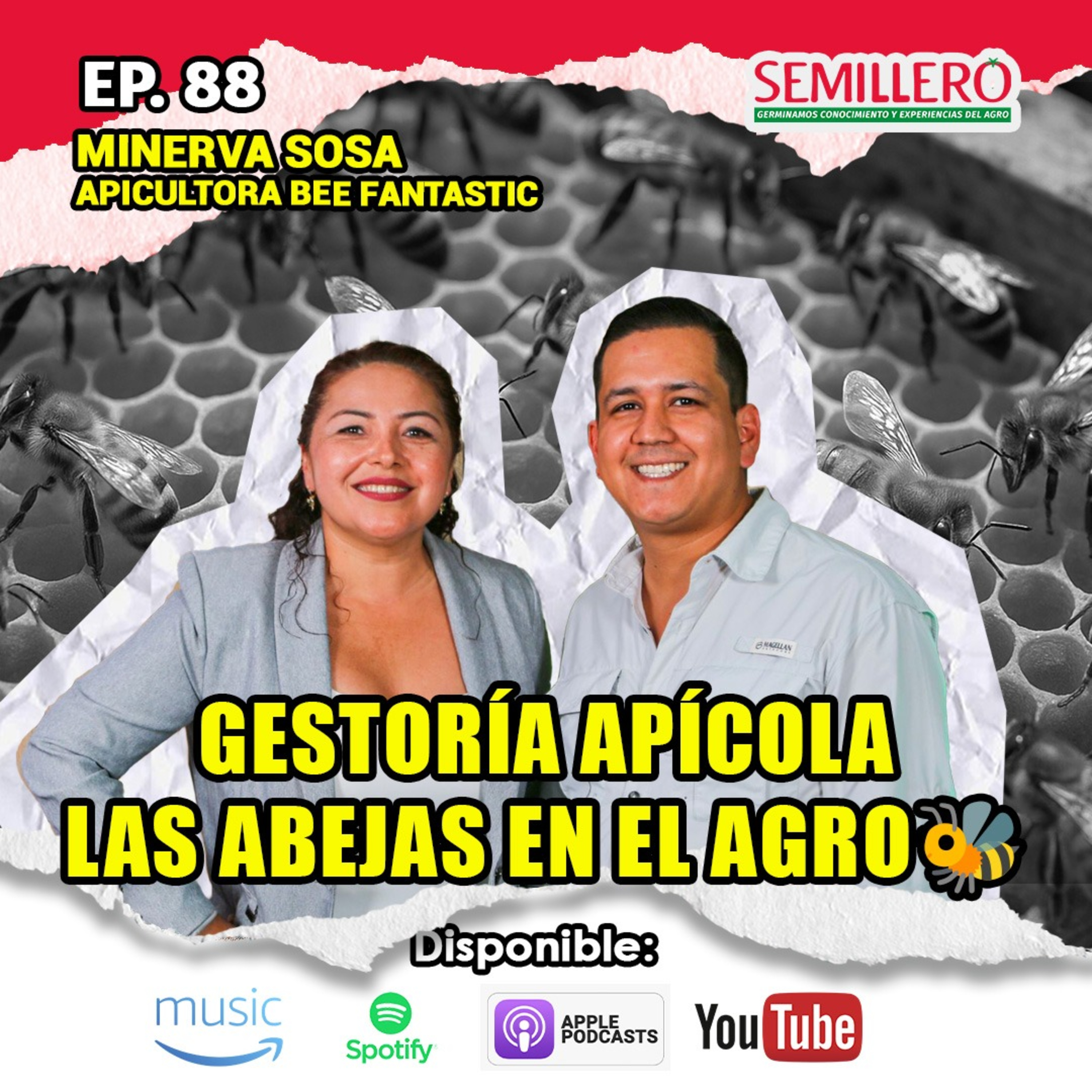 EP. 88 Gestoría apícola: las abejas y el agro | Lic. Minerva Sosa🐝🌱 episode artwork
