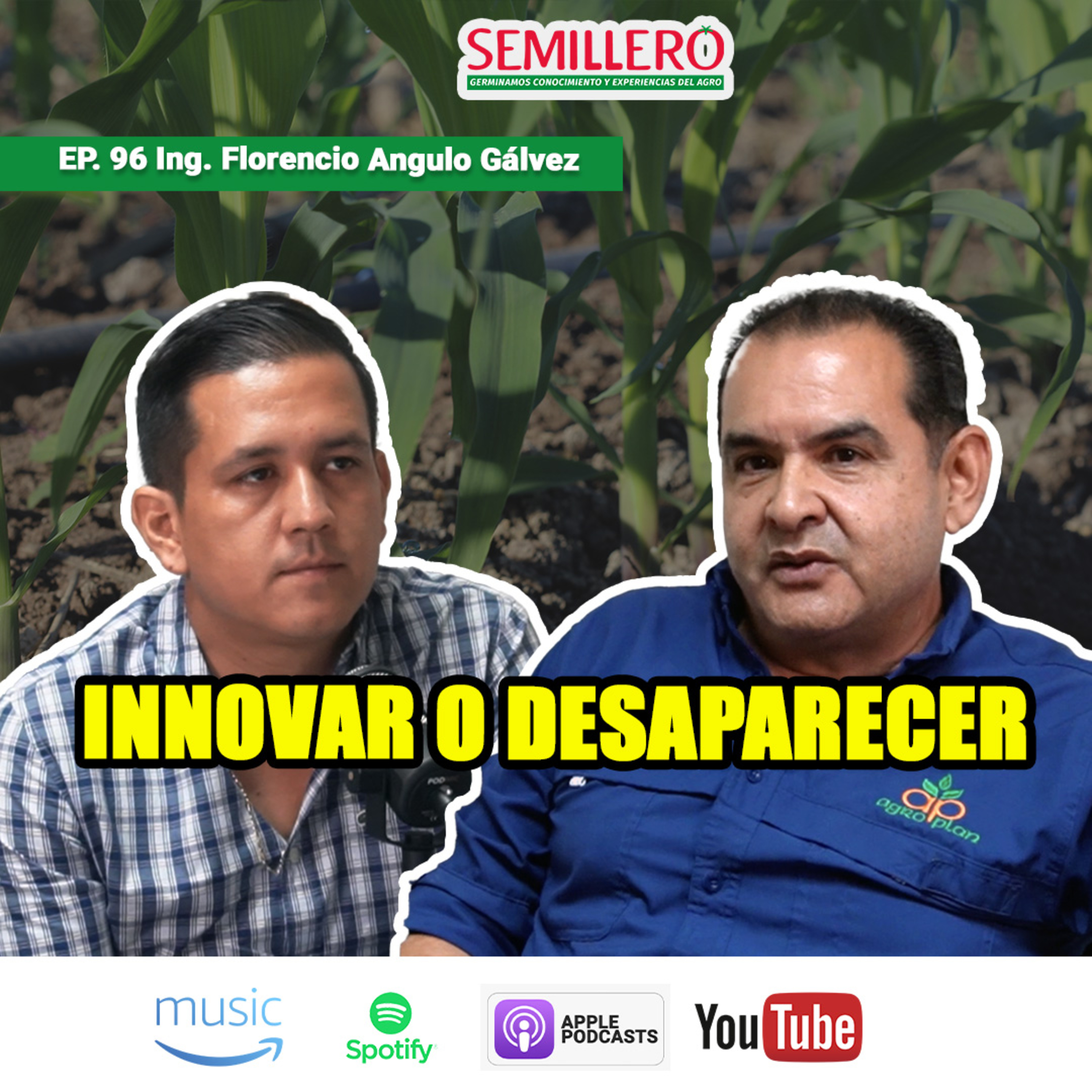 EP. 96 Sembré maíces transgénicos: ¿rindieron más? | Ing. Florencio Angulo episode artwork