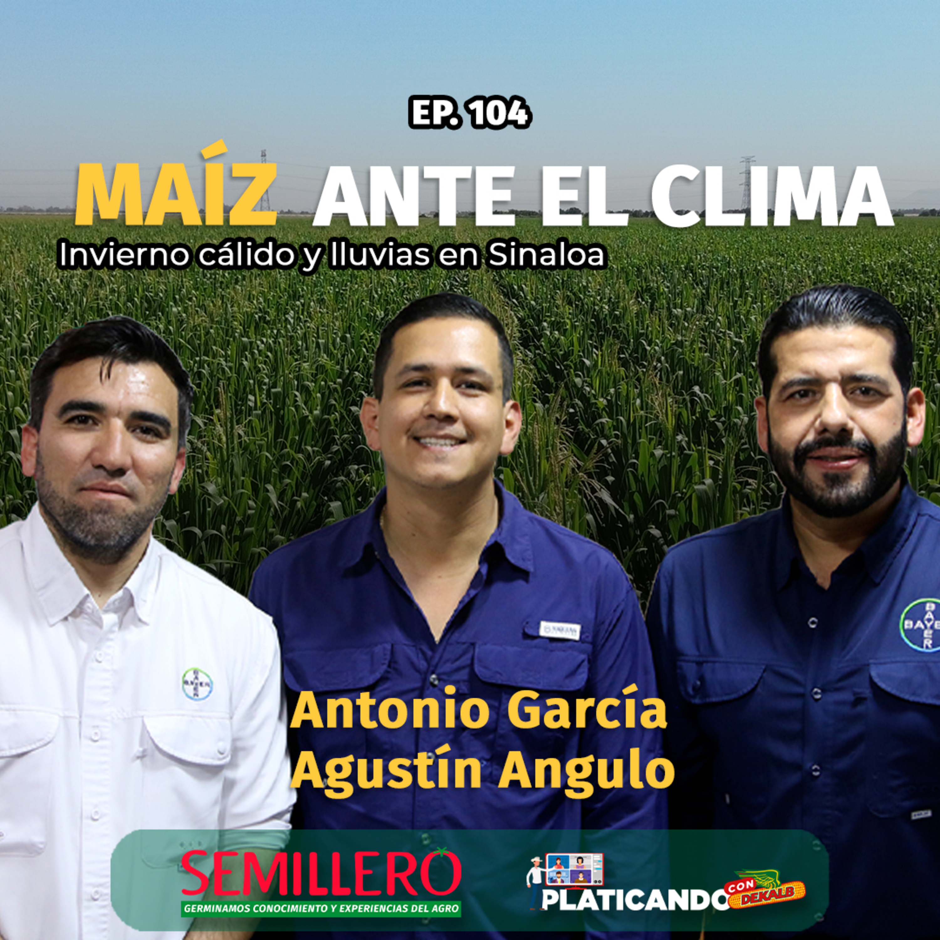 #104 Así se desarrolla el maíz en Sinaloa OI 2025–2026 | Platicando con Dekalb episode artwork