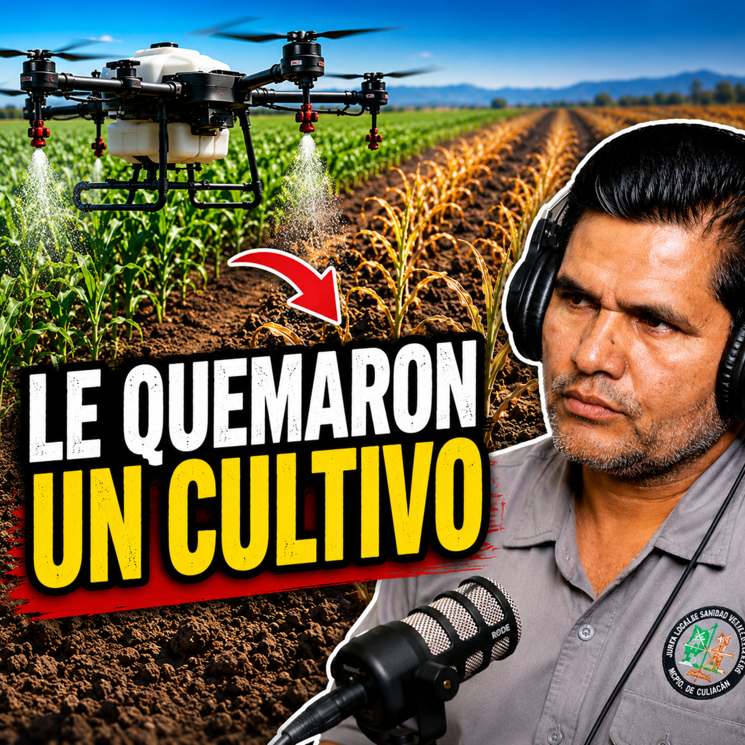 ¿Cuánto te puede costar una mala aplicación con drones agrícolas? episode artwork