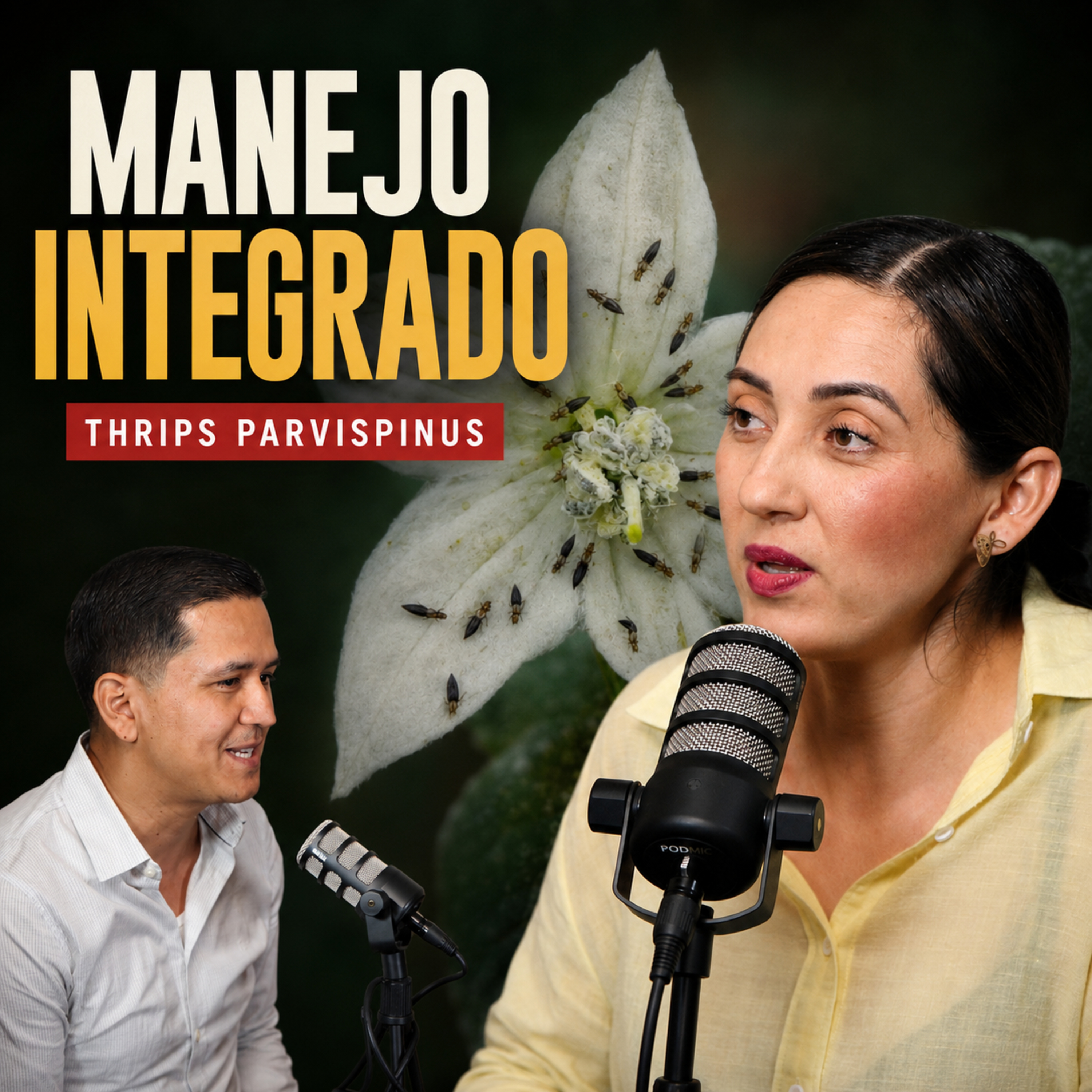 Cómo controlar Thrips parvispinus: cultivos afectados y manejo integrado | EP. #132 Dra. Alejandra Payán episode artwork