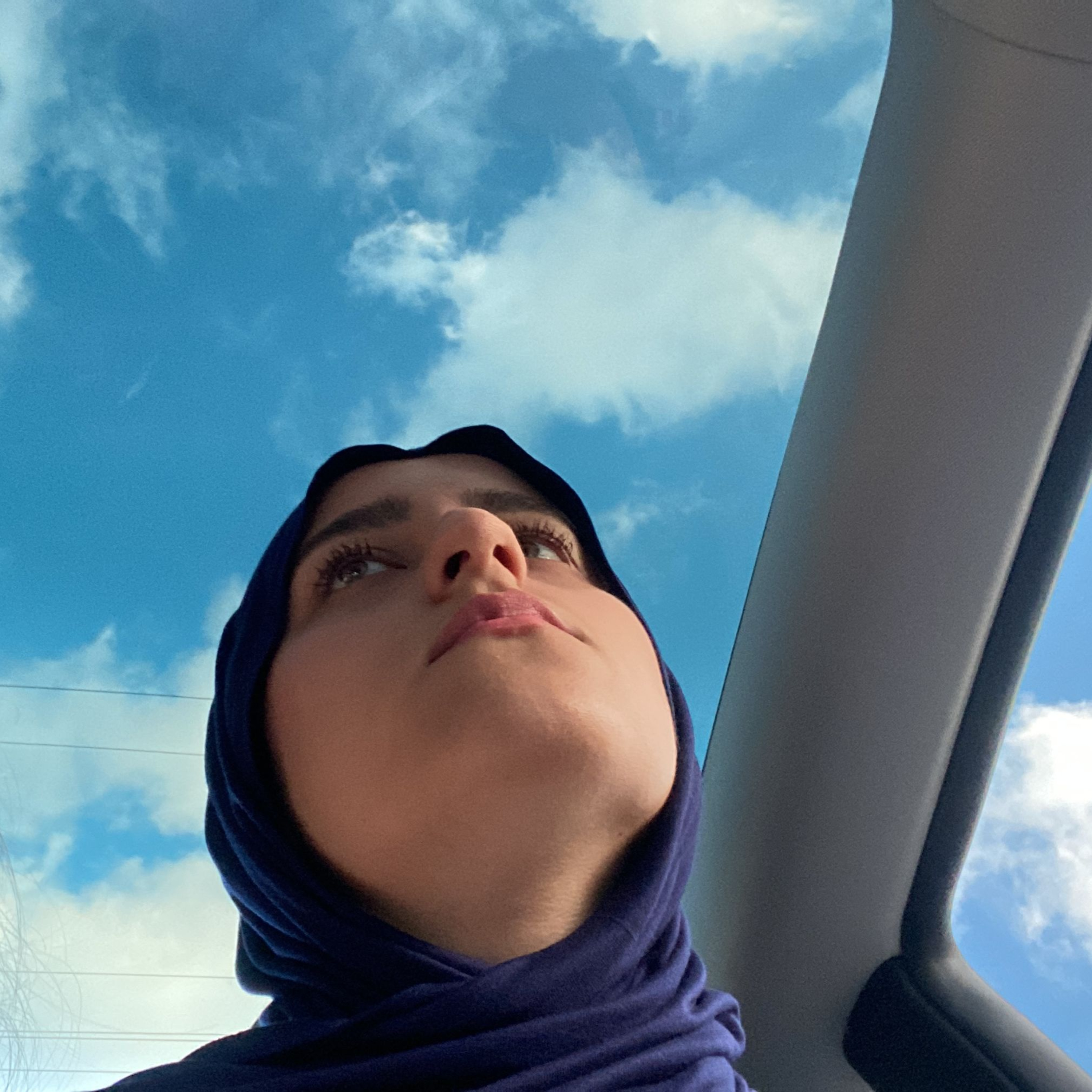 Hepimizin İçinden