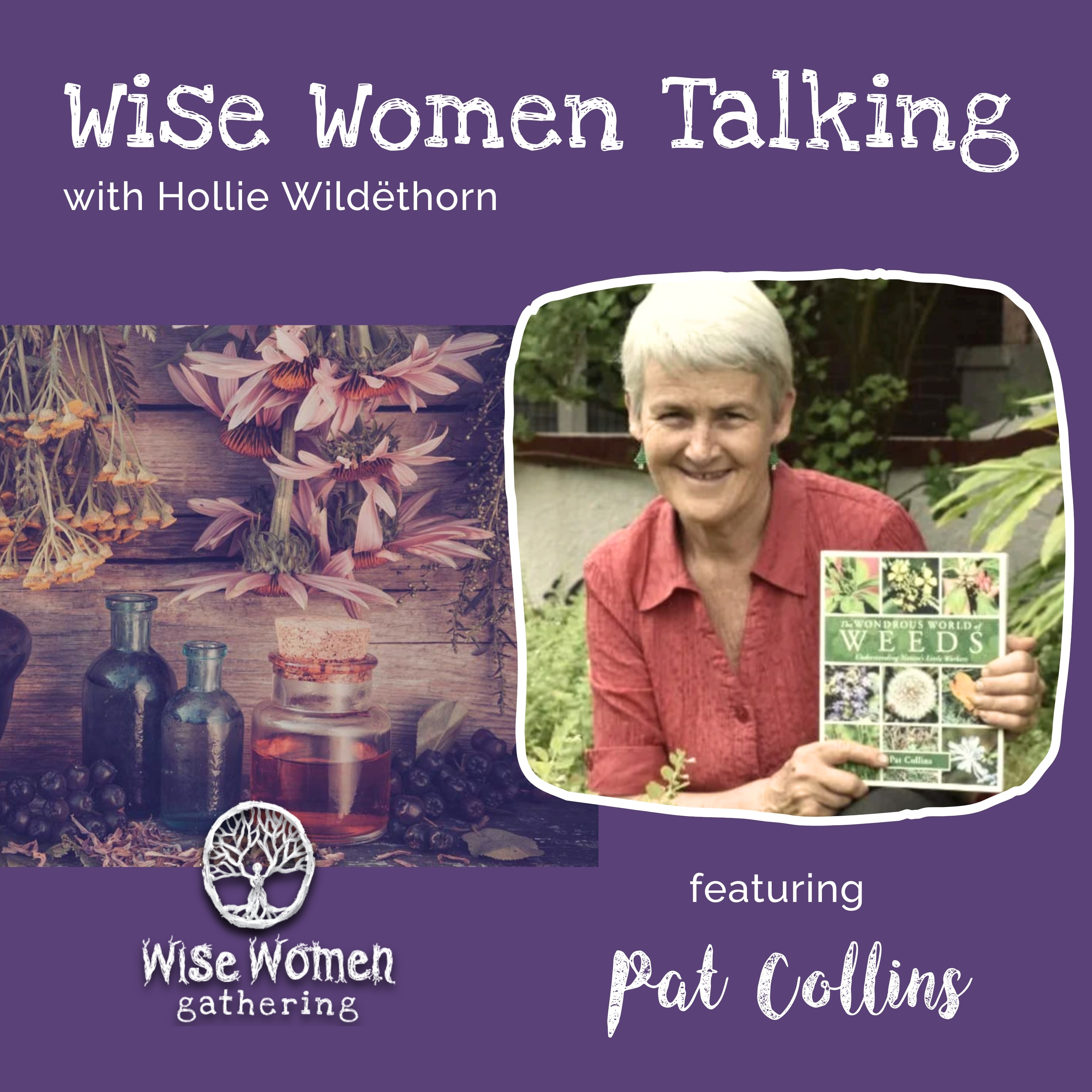 Wise Women Talking