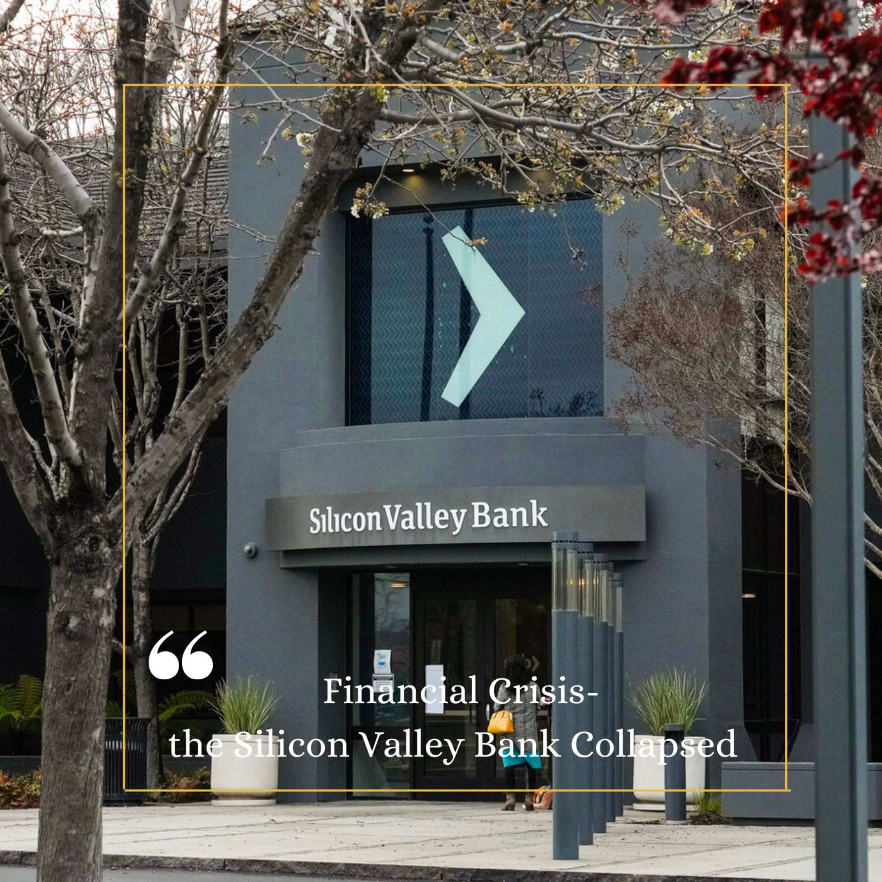 Financial Crisis-the Silicon Valley Bank Collapsed episode artwork