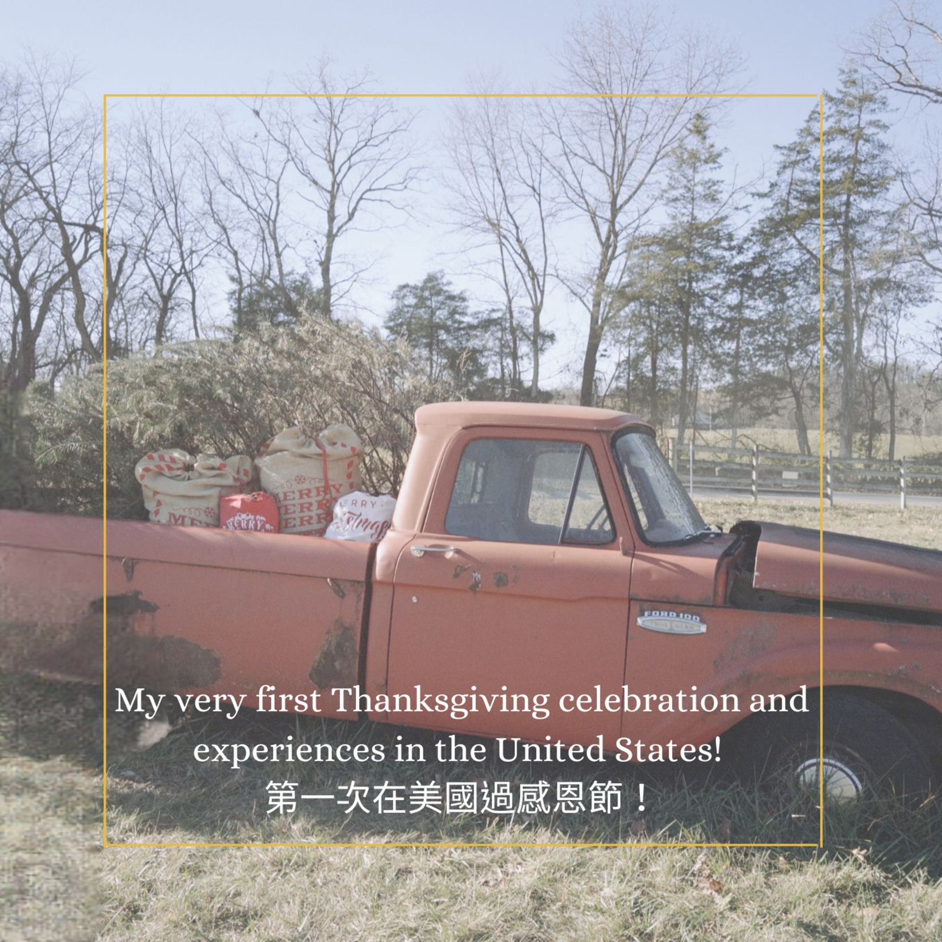 My very first Thanksgiving celebration and experiences in the United States! 第一次在美國過感恩節! episode artwork