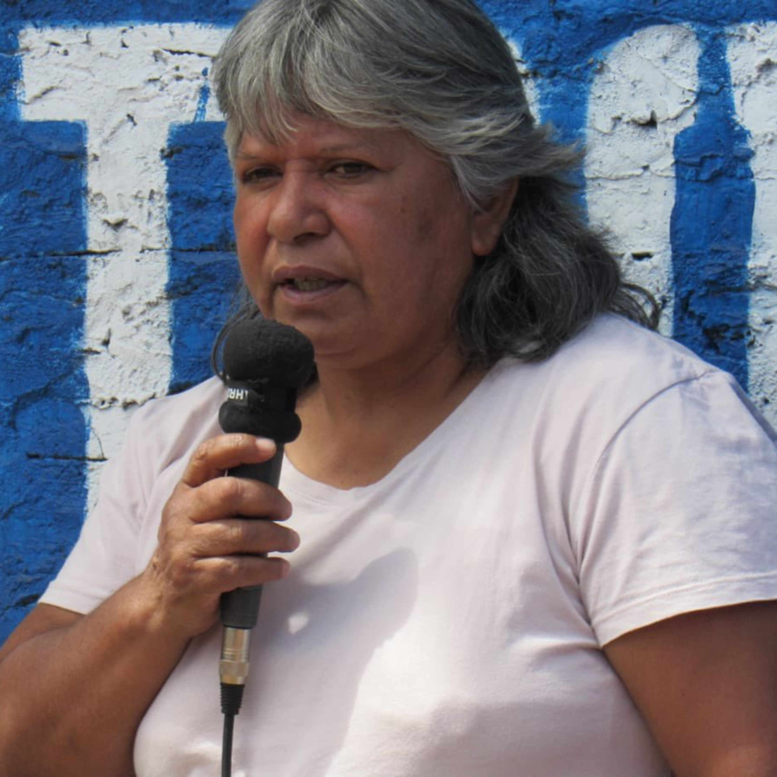 Nilda Chamorro: "Estamos trabajando para fortalecer los emprendimientos de Alte. Brown" episode artwork