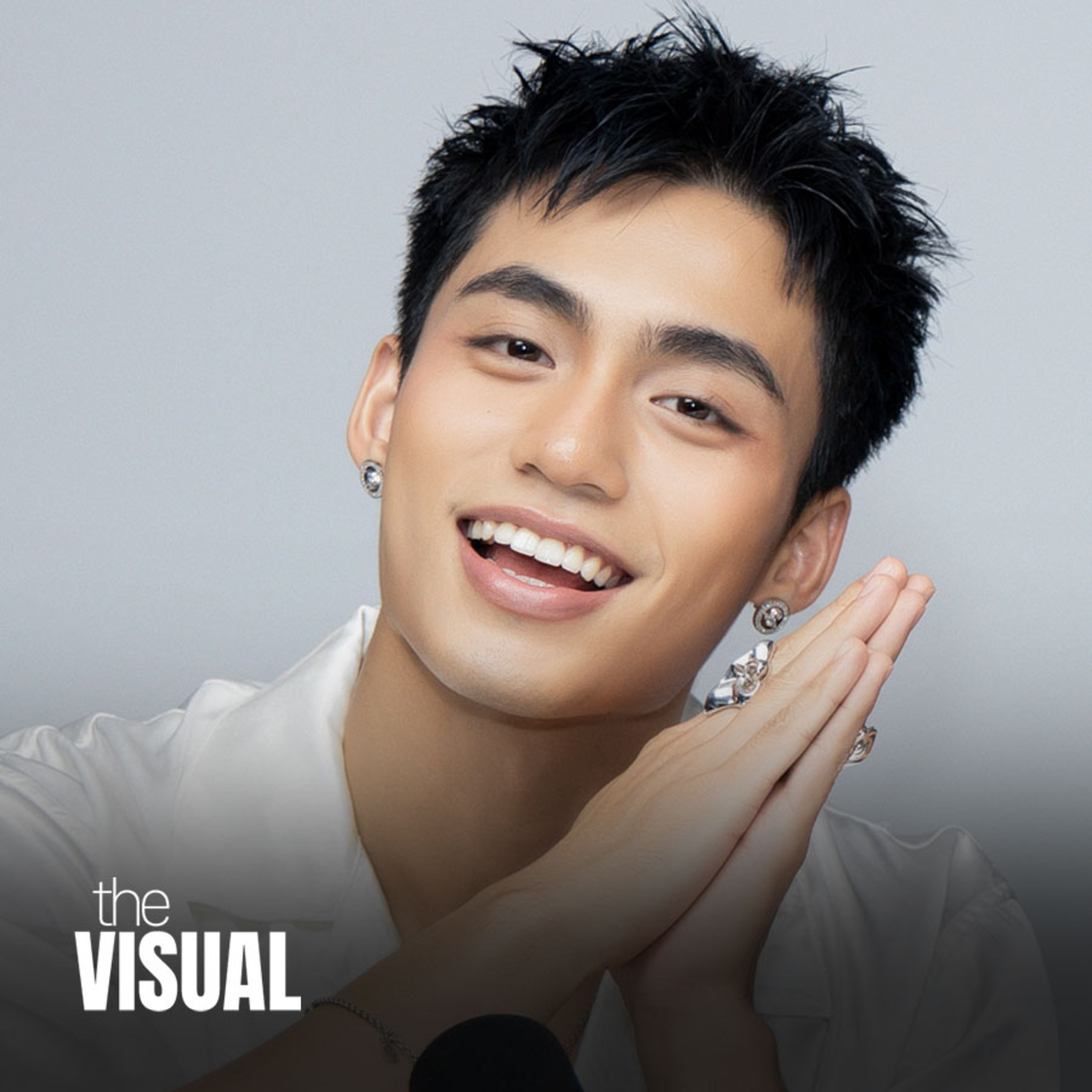 the VISUAL