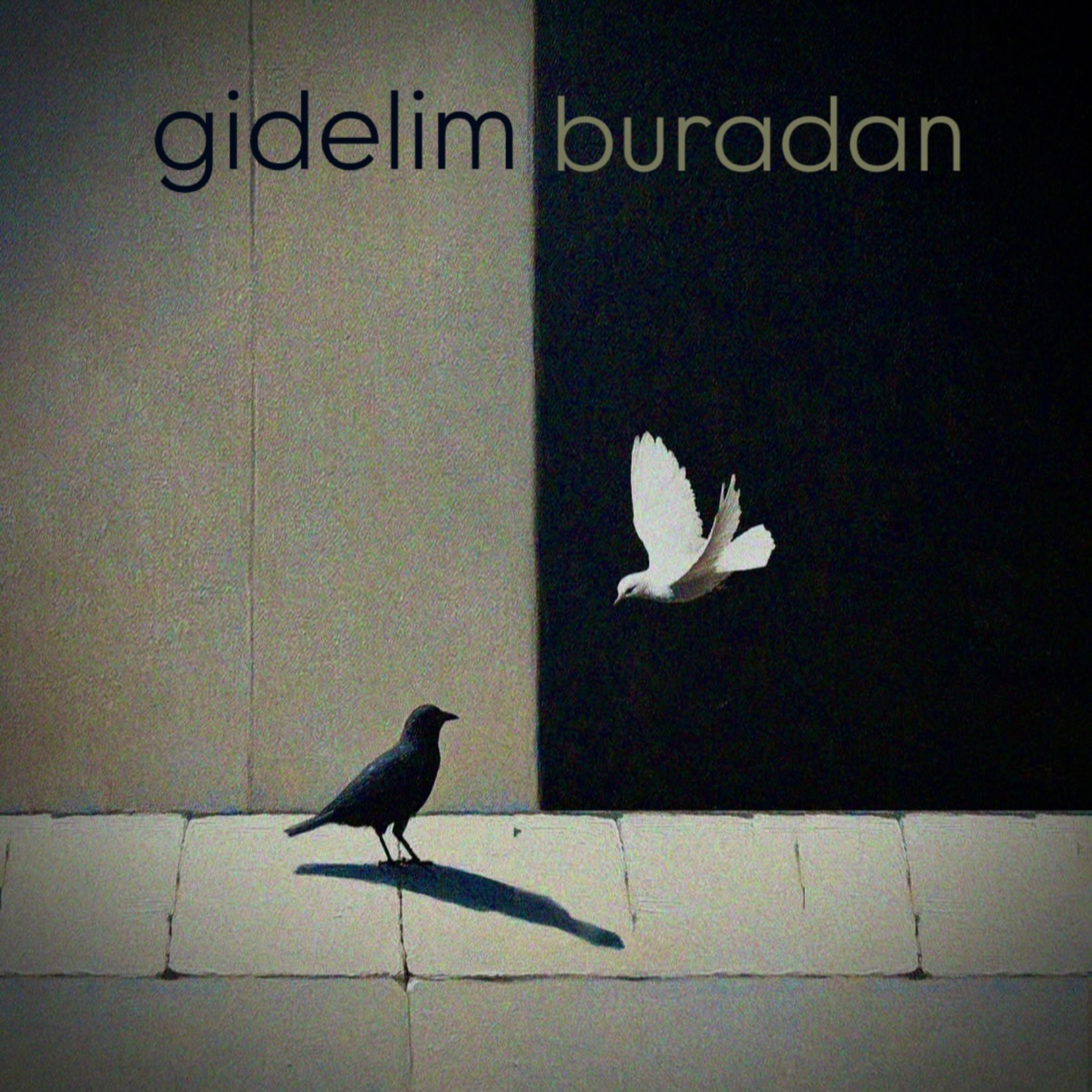 Gidelim Buradan episode artwork