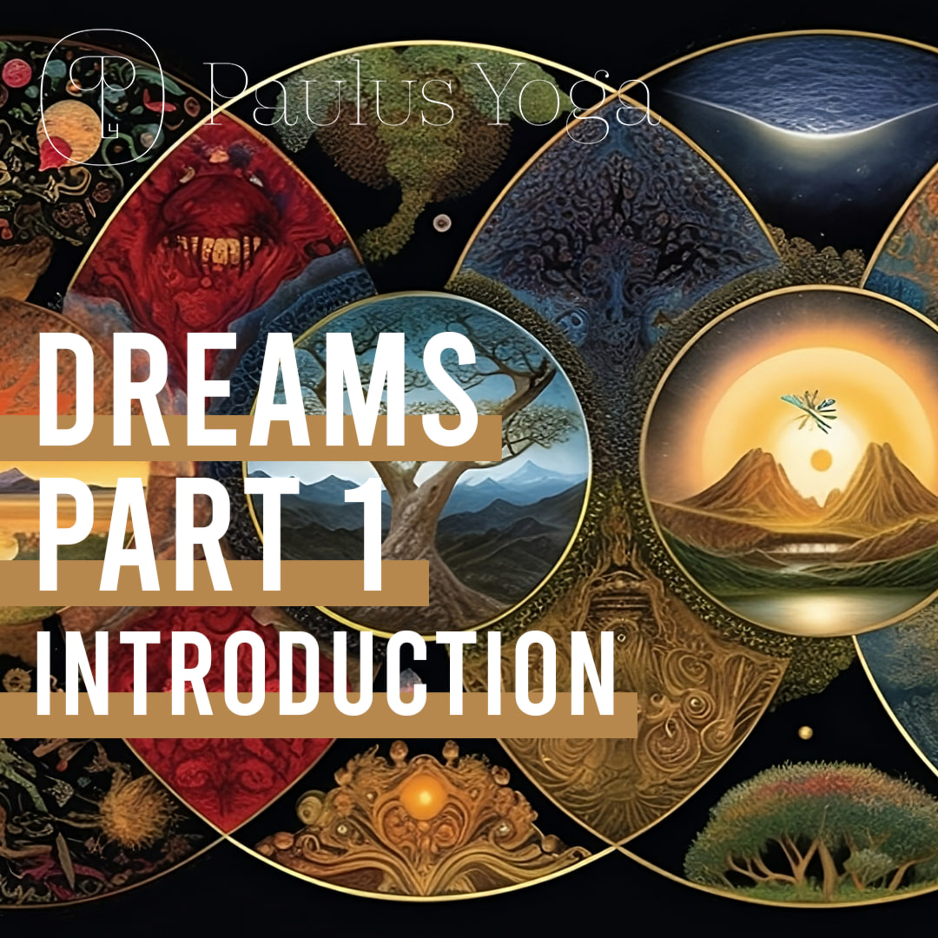 DREAMS: Exploring Their Roles in Different Cultures with a Focus on C.G.Jung - Part 1 episode artwork