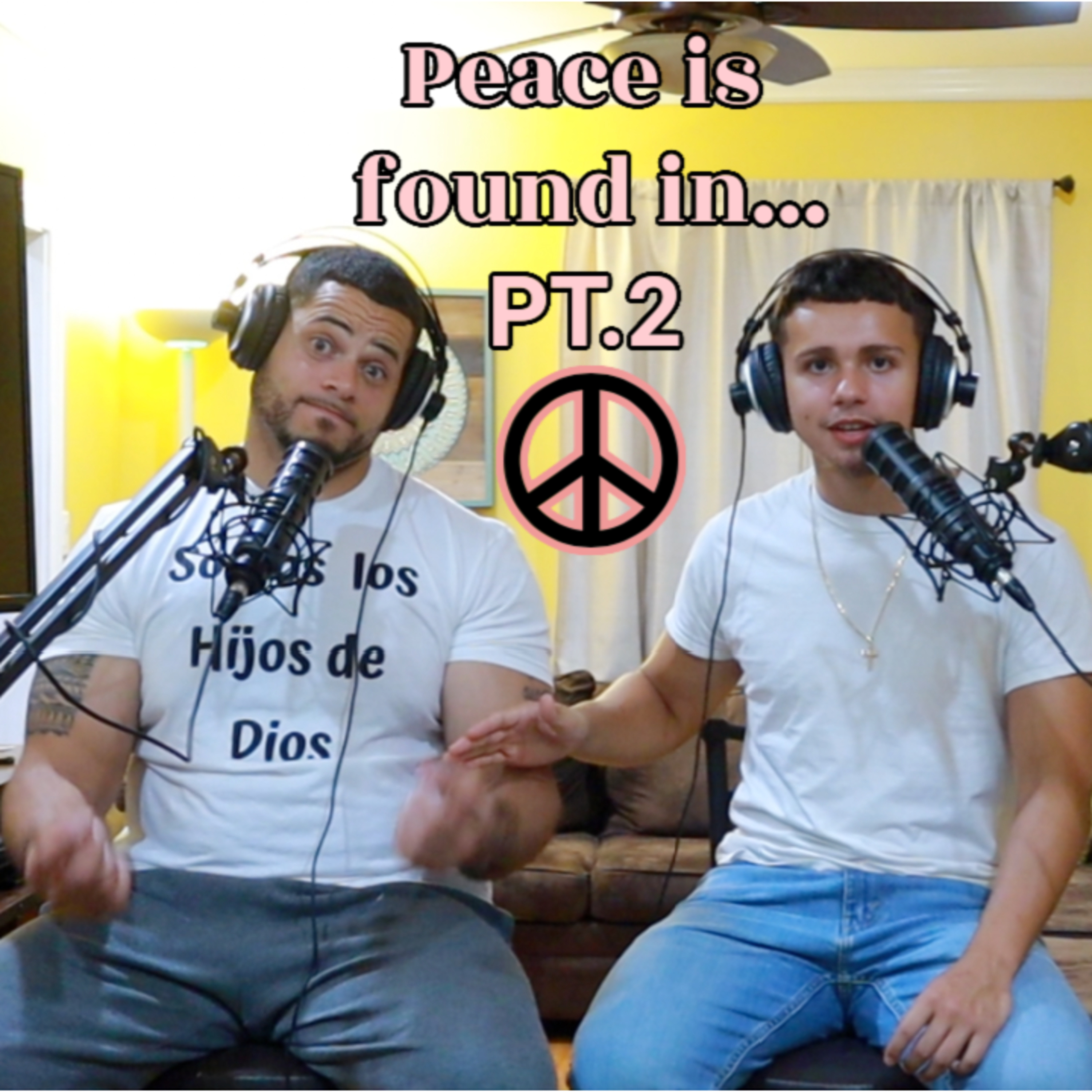Have we been looking for peace in the wrong places? PT.2 episode artwork