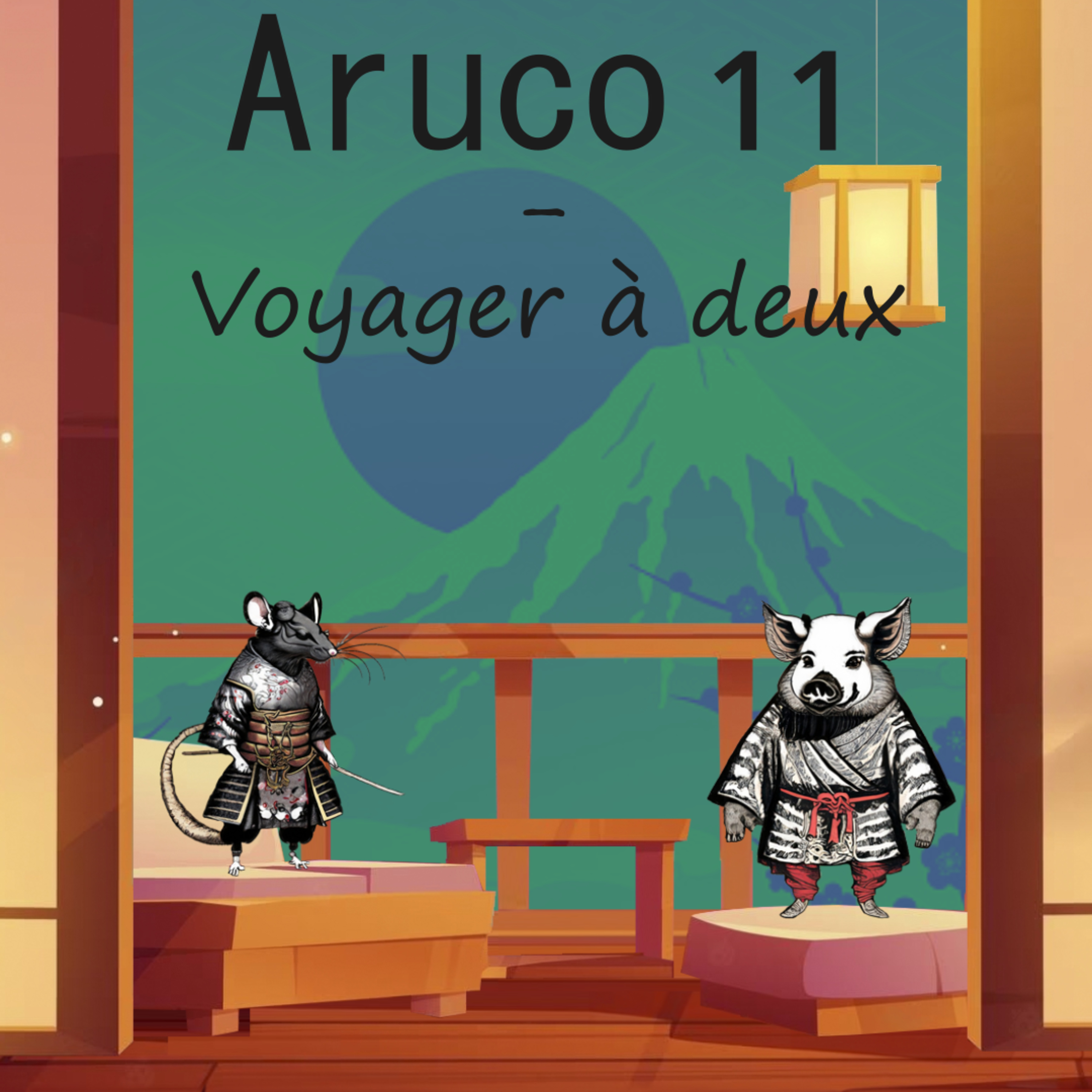 Aruco 11 – Voyager à deux