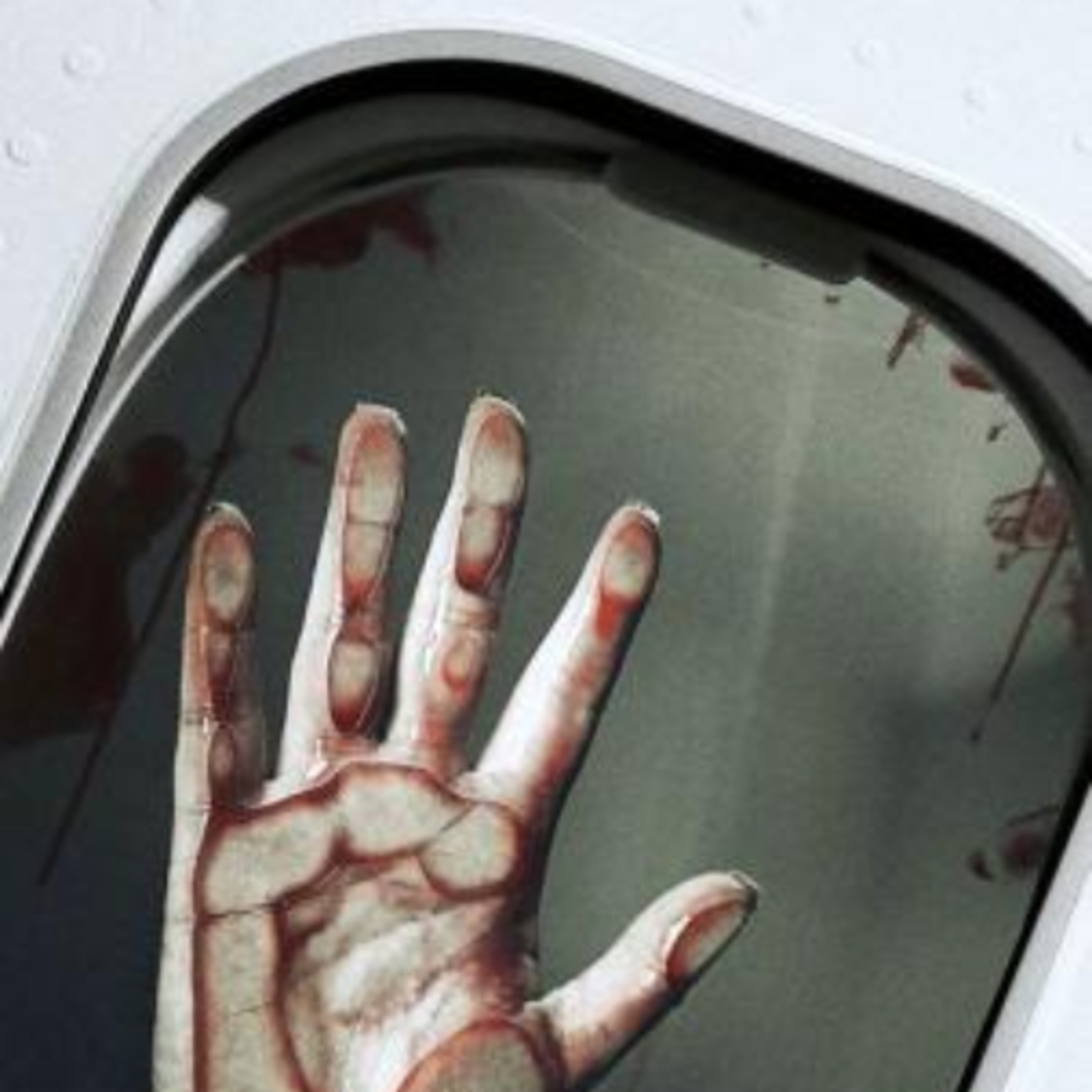 Night flight ?  hindi horror story
